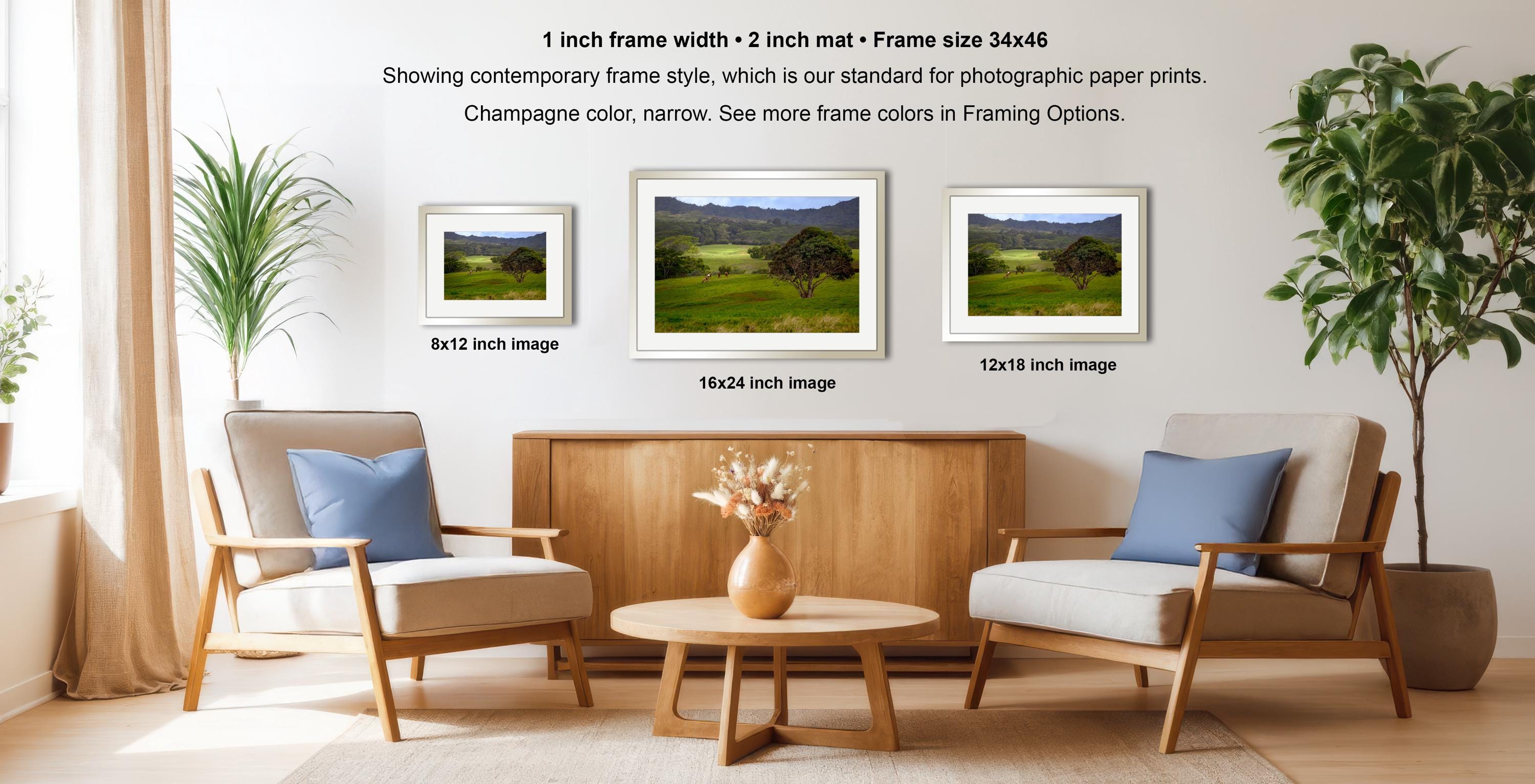 a living room with three framed landscape photographs hanging on the wall. The photographs are of different sizes, with the largest one being 1 inch wide and the smallest one being 16 inches wide. The room is furnished with two chairs and a coffee table, and there are potted plants and a vase adding to the decor.