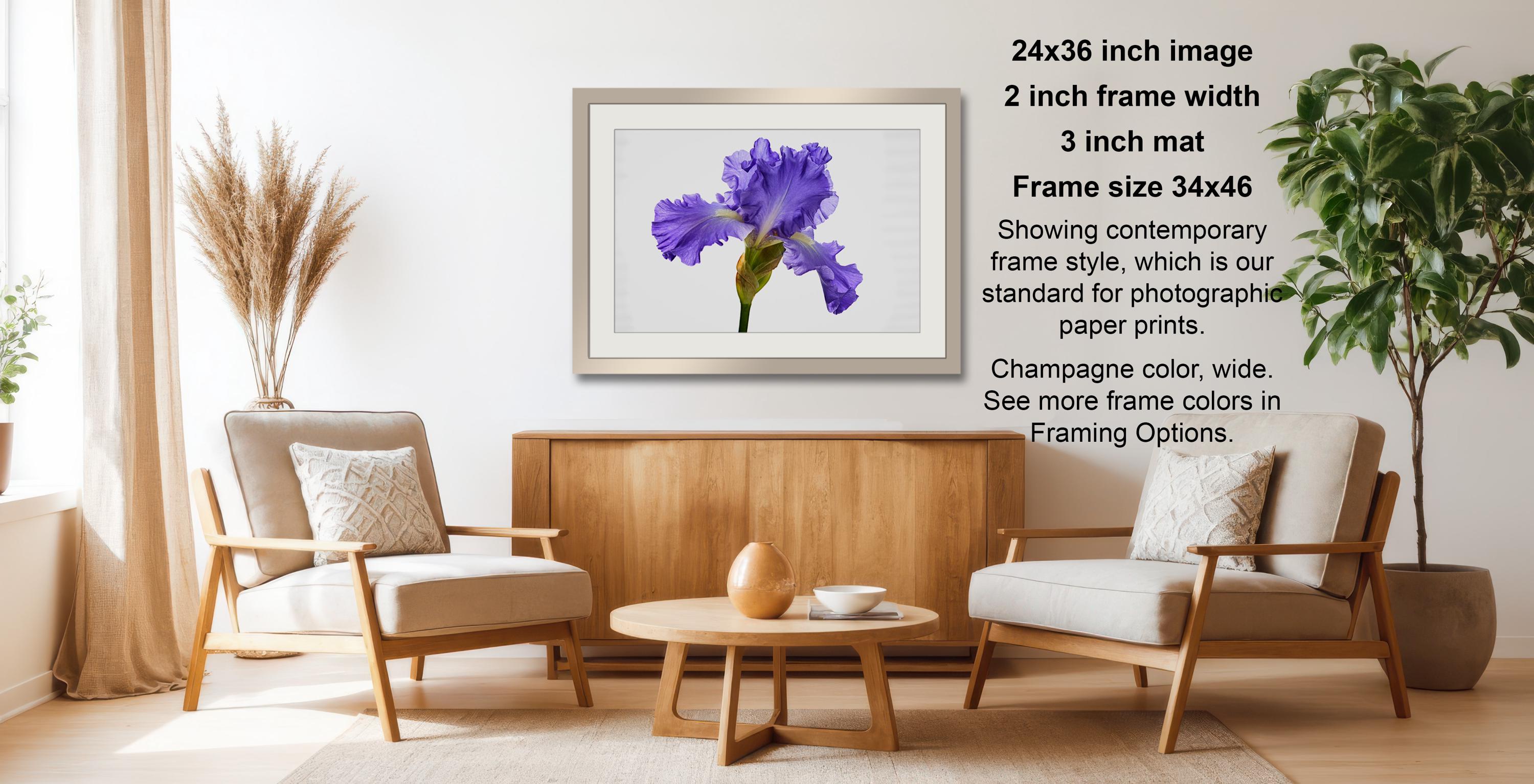 a living room with a wooden coffee table, two white armchairs, and a framed photograph of a purple iris flower hanging on the wall.