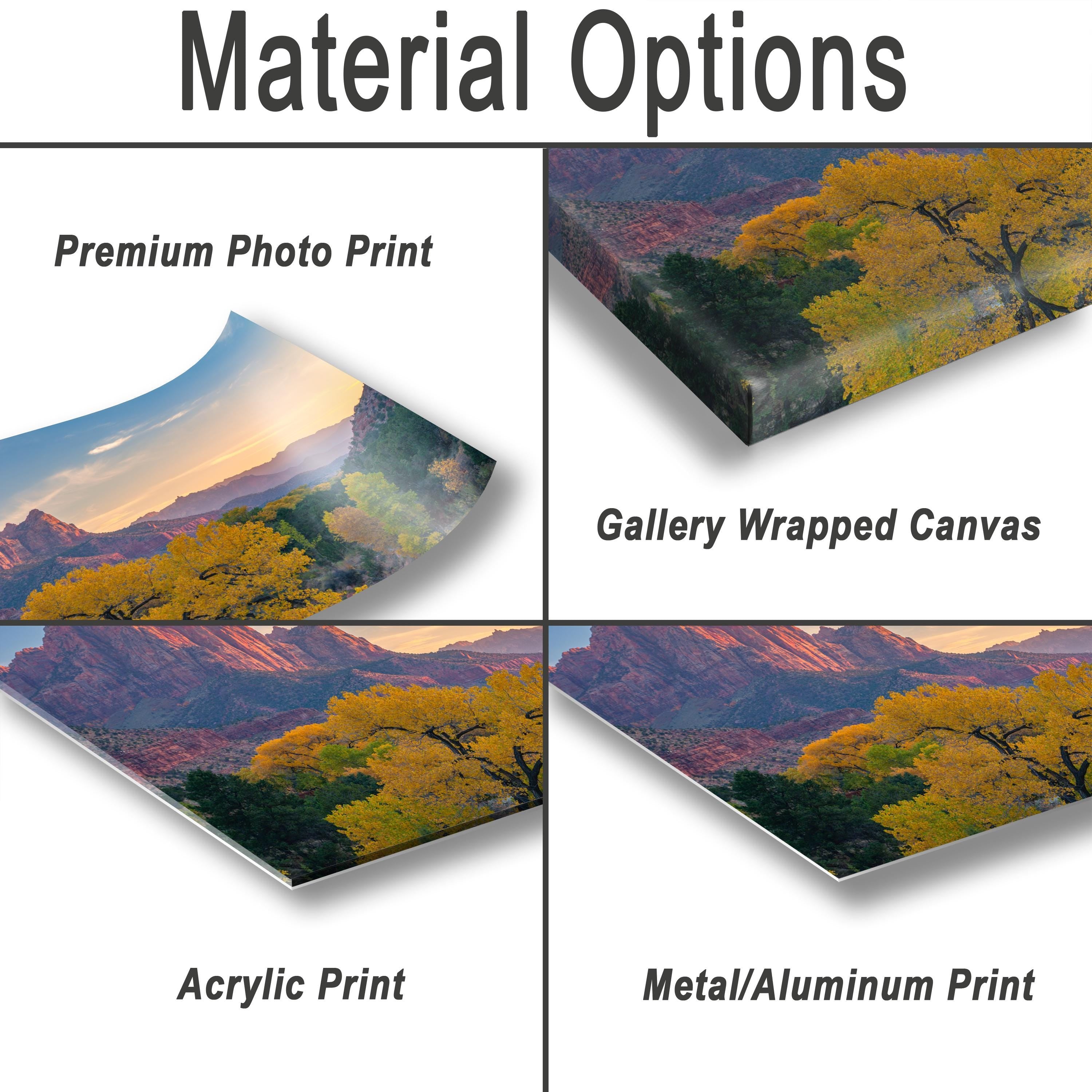various types of print materials, including a premium photo print, a gallery wrapped canvas, an acrylic print, and a metal/aluminum print.