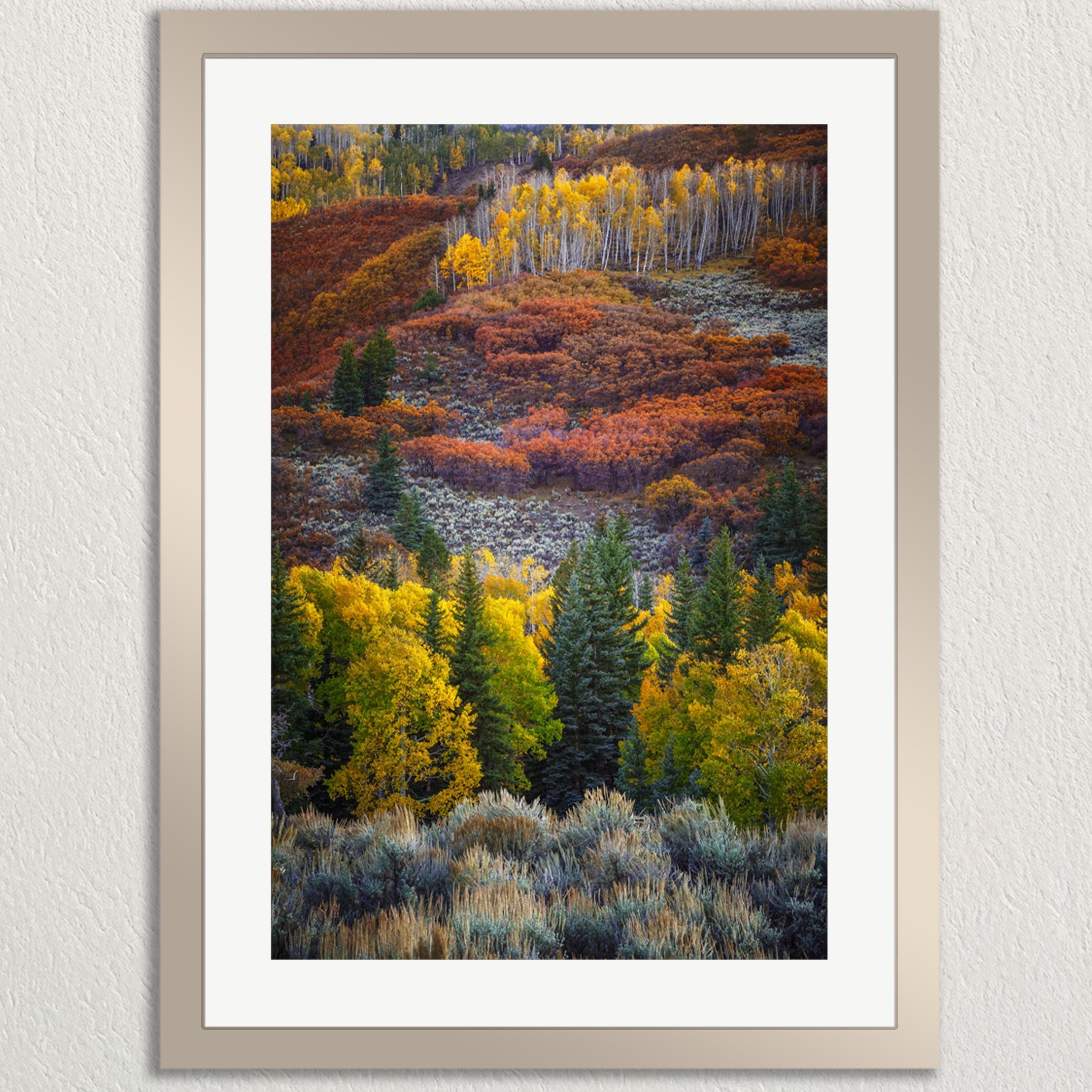The image is a framed photograph of a vibrant autumn landscape, featuring a dense forest of trees with a mix of green, yellow, and orange foliage. The trees are scattered across the frame, creating a sense of depth and scale. The colors of the leaves suggest that the photo was taken during the fall season, capturing the beauty of nature in its various stages of growth.