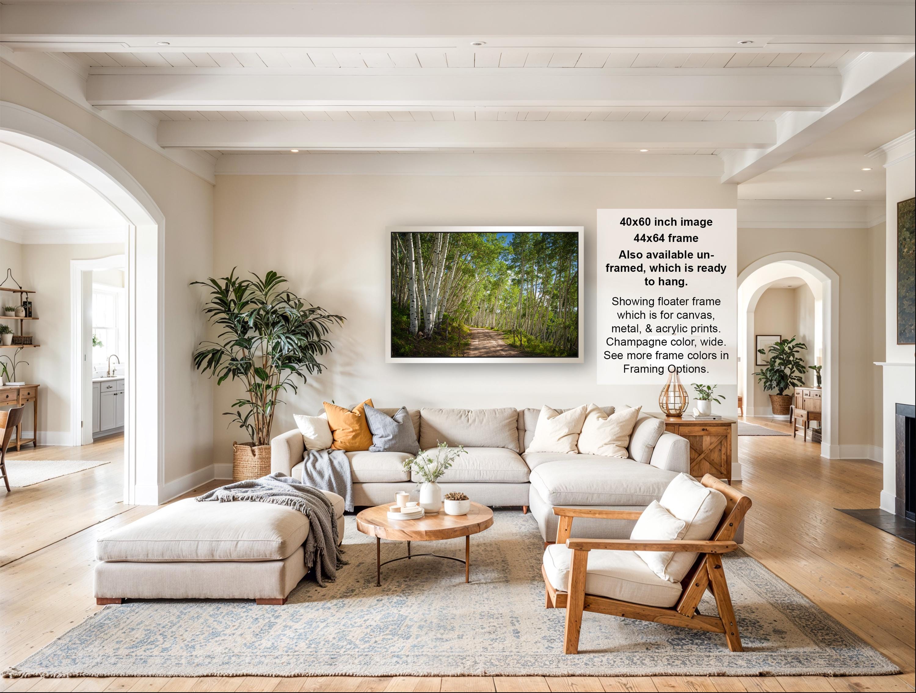 The image is a large, framed picture of a forest scene hanging on a wall in a living room.