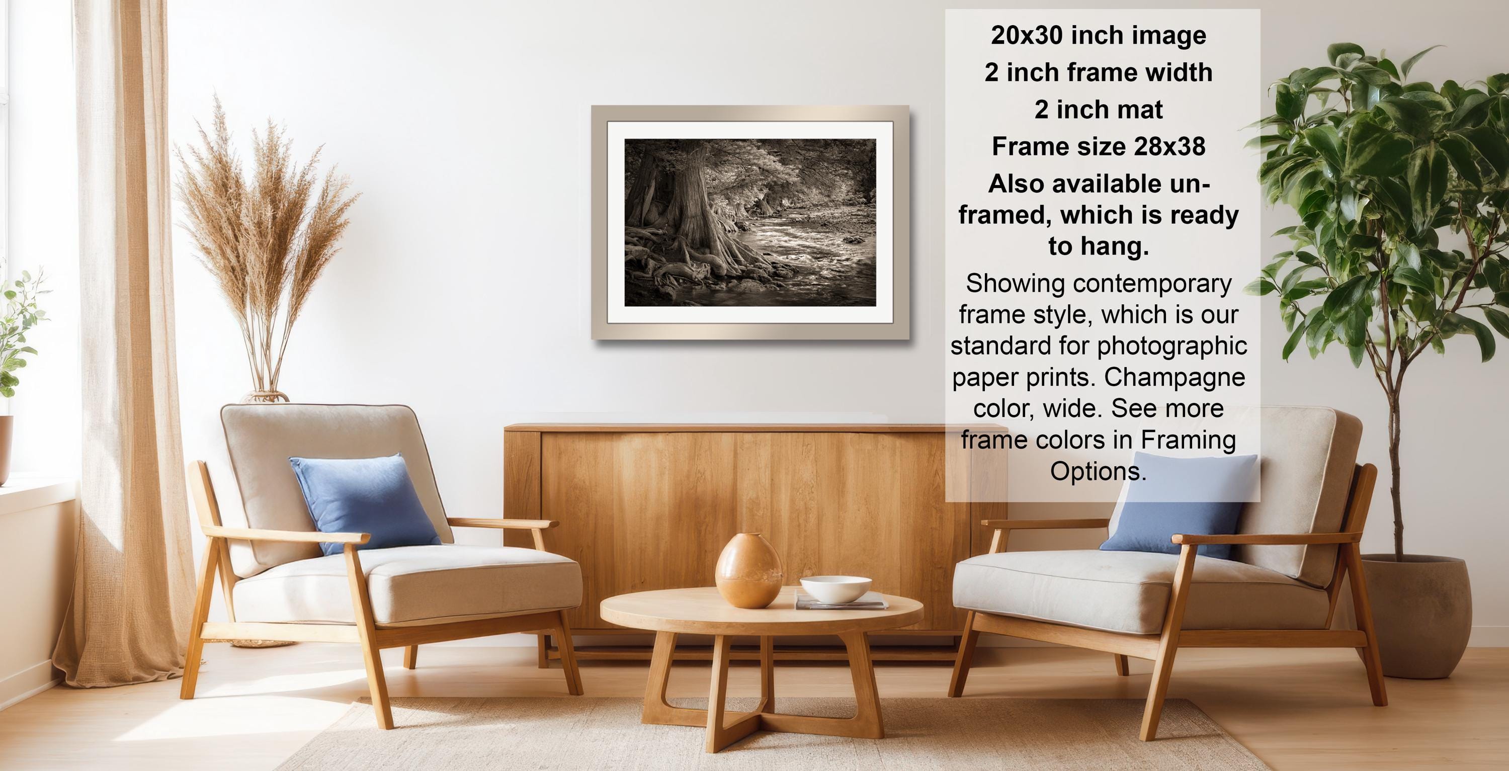 The image is a living room with two chairs, a coffee table, and a framed black and white photograph of a forest scene hanging on the wall.