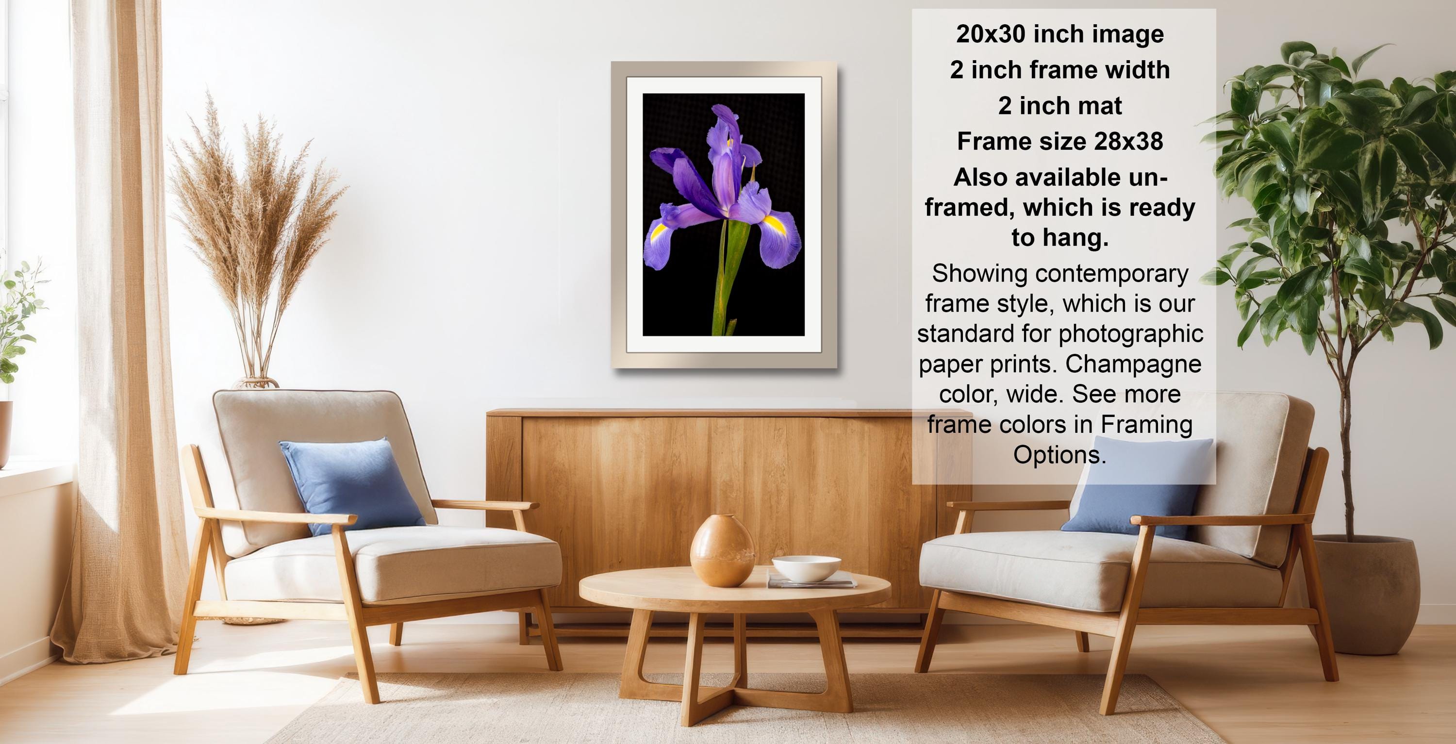 a living room with a framed photograph of a purple iris on the wall, a wooden coffee table in the center, and two white armchairs facing each other.