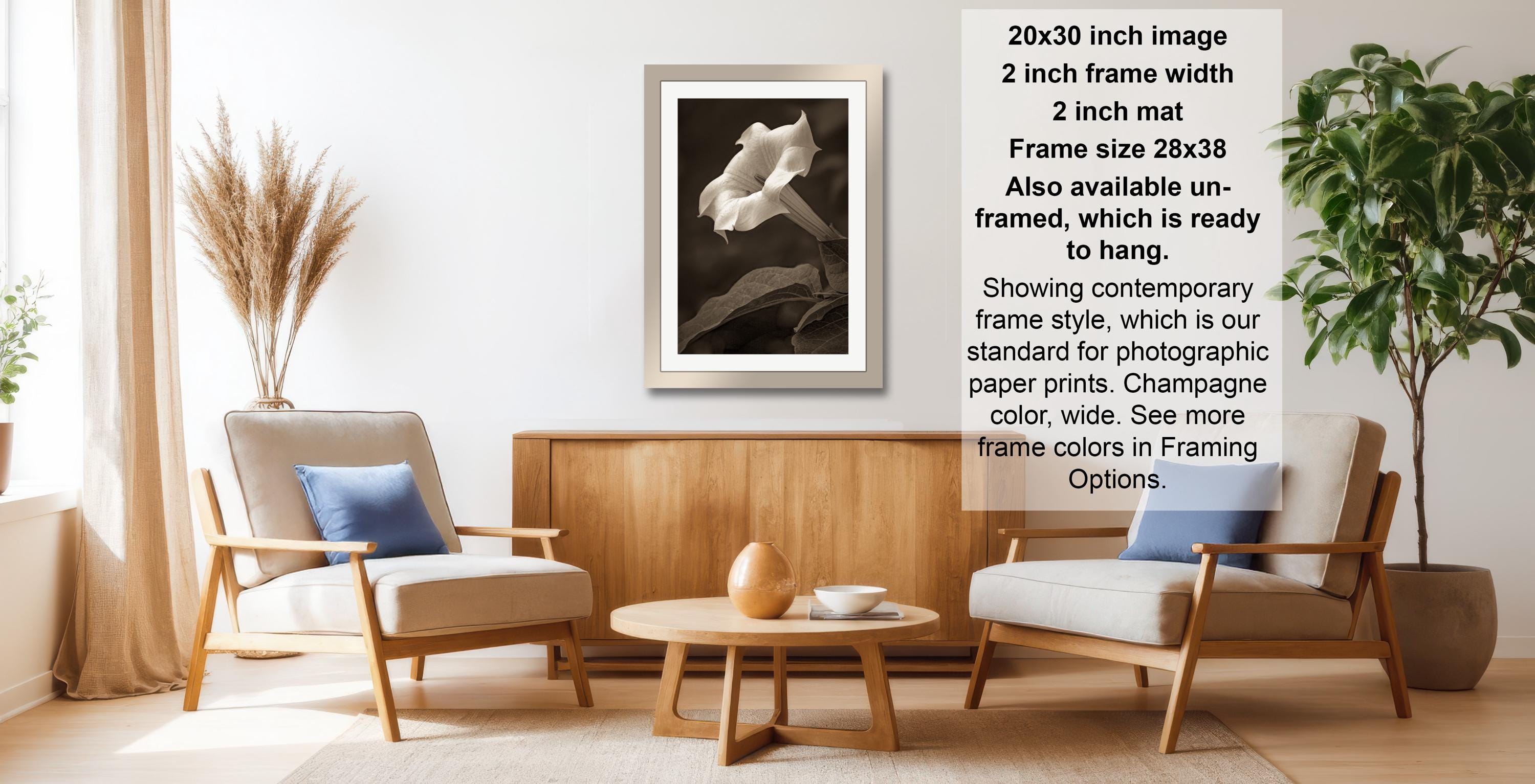 a living room with a framed black and white photograph of a flower hanging on the wall. The room has two armchairs, a coffee table, and a potted plant, creating a cozy and inviting atmosphere.
