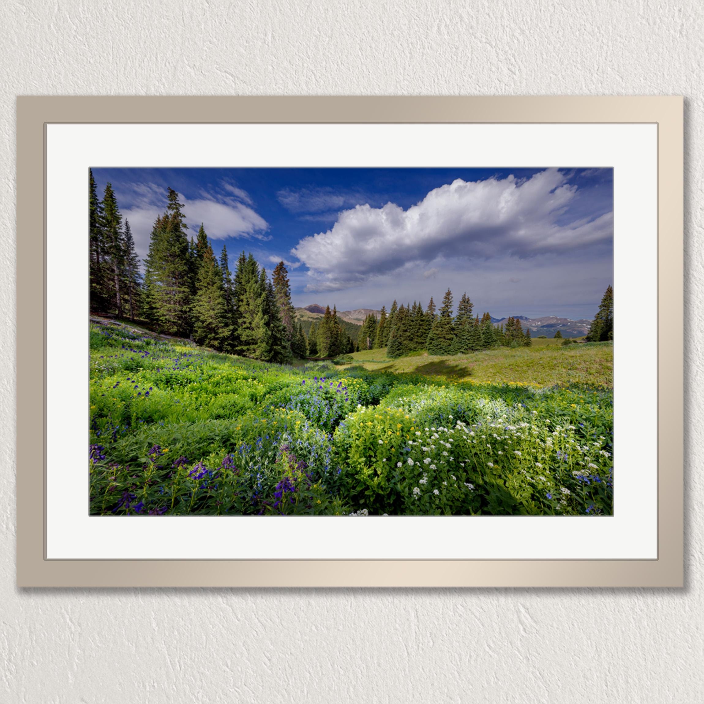 A framed photograph depicting a lush, green meadow with wildflowers and pine trees under a blue sky with fluffy white clouds.