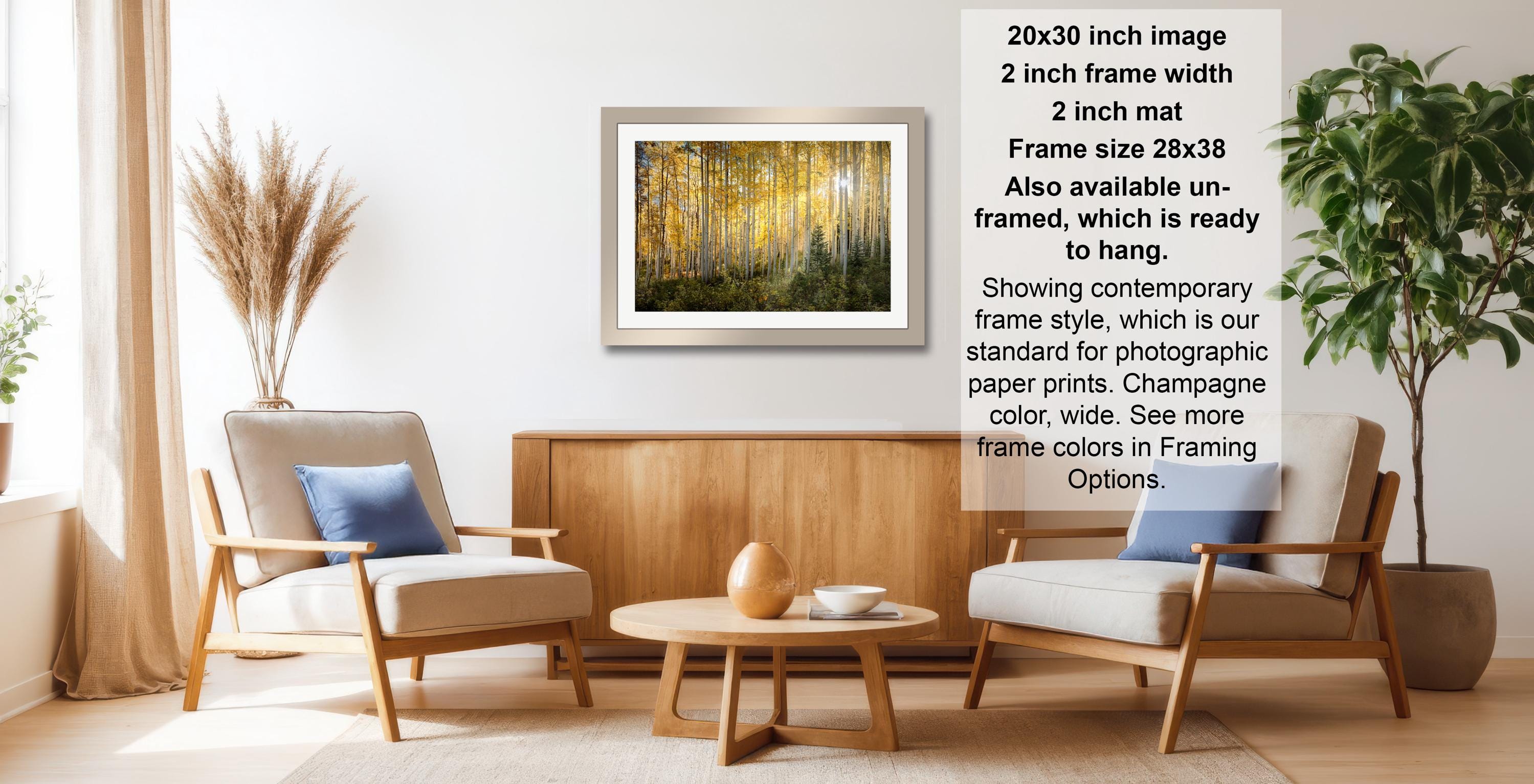 a living room with a framed picture of a forest on the wall, a wooden coffee table, two armchairs, and a potted plant.