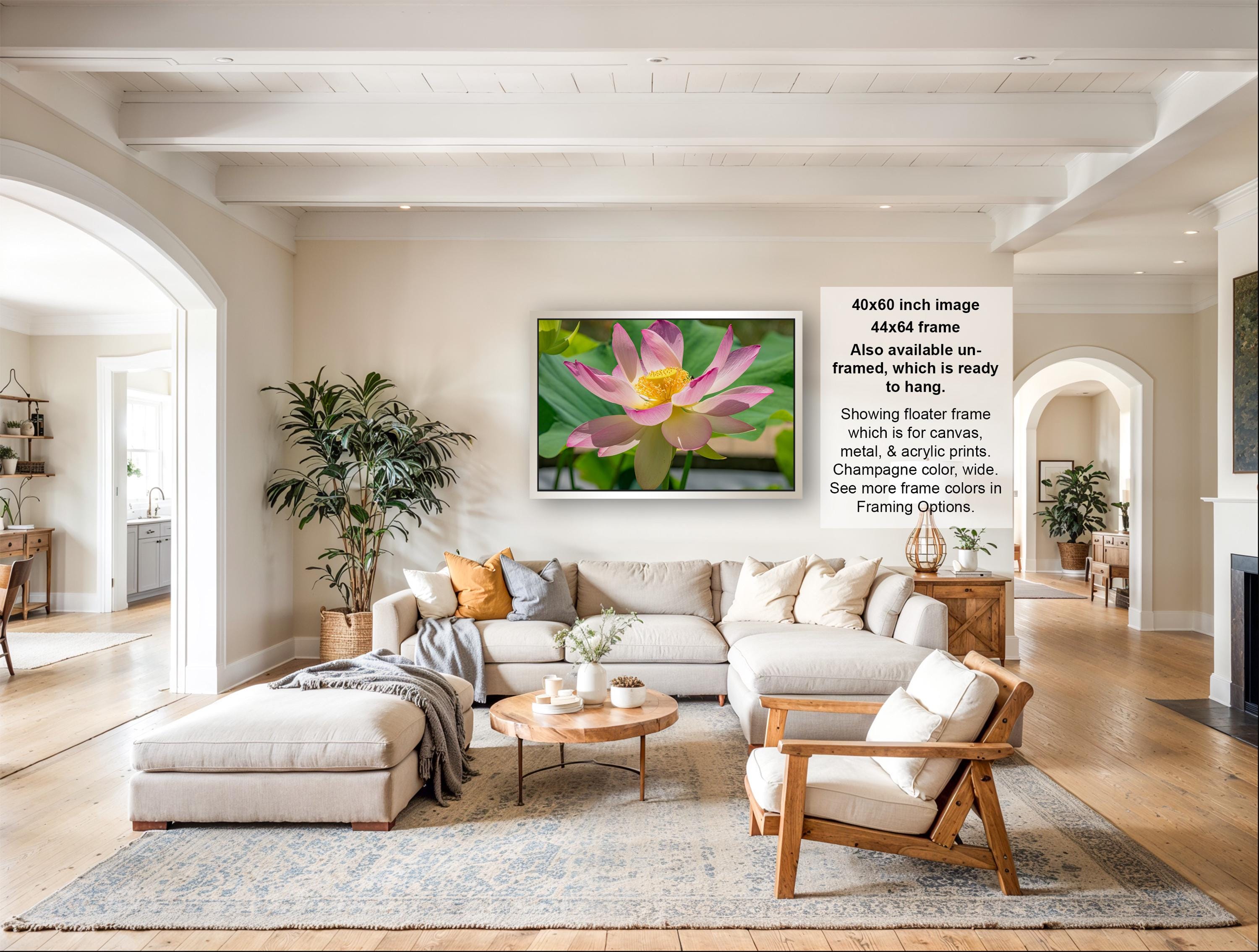 The image is a large, high-resolution photograph of a living room with a large, framed picture of a pink lotus flower on the wall. The room has a neutral color scheme with white walls, a wooden floor, and a large sectional sofa. There are also several potted plants and decorative items in the room, creating a cozy and inviting atmosphere.