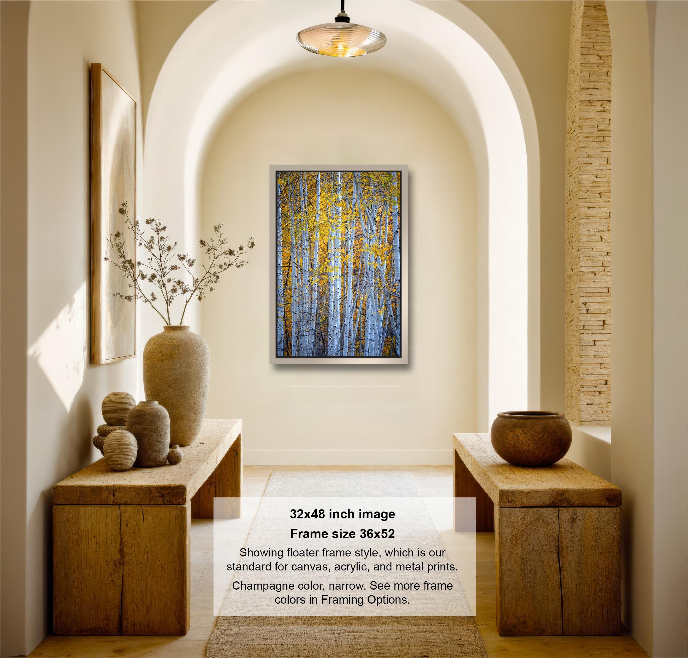 The image is a 32x48-inch framed artwork depicting a forest scene with tall trees and a yellow-leaved canopy. The frame is 36x42 inches and is hanging on a wall in a hallway. The artwork is framed in a wooden frame, and the frame style is described as a foam frame, which is a standard for canvas, acrylic, and metal prints. The colors in the frame are listed as the standard colors for framing, and the artwork is available in frame colors.