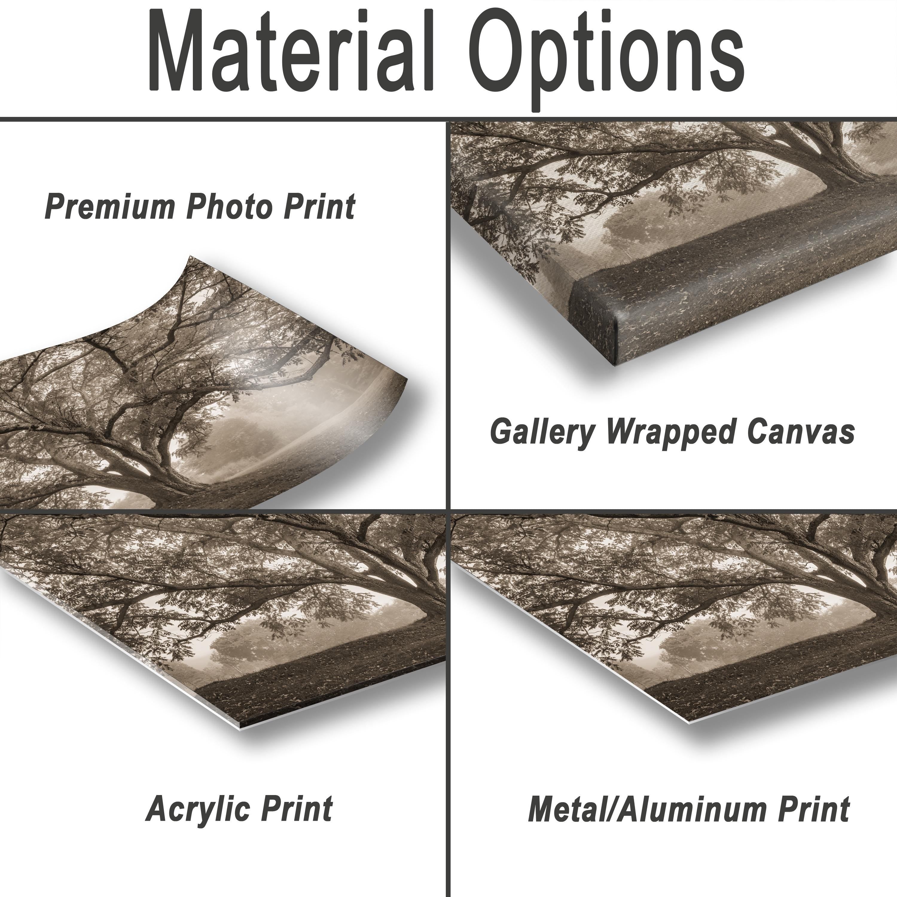 various types of print materials, including a premium photo print, a gallery wrapped canvas, an acrylic print, and a metal/aluminum print.