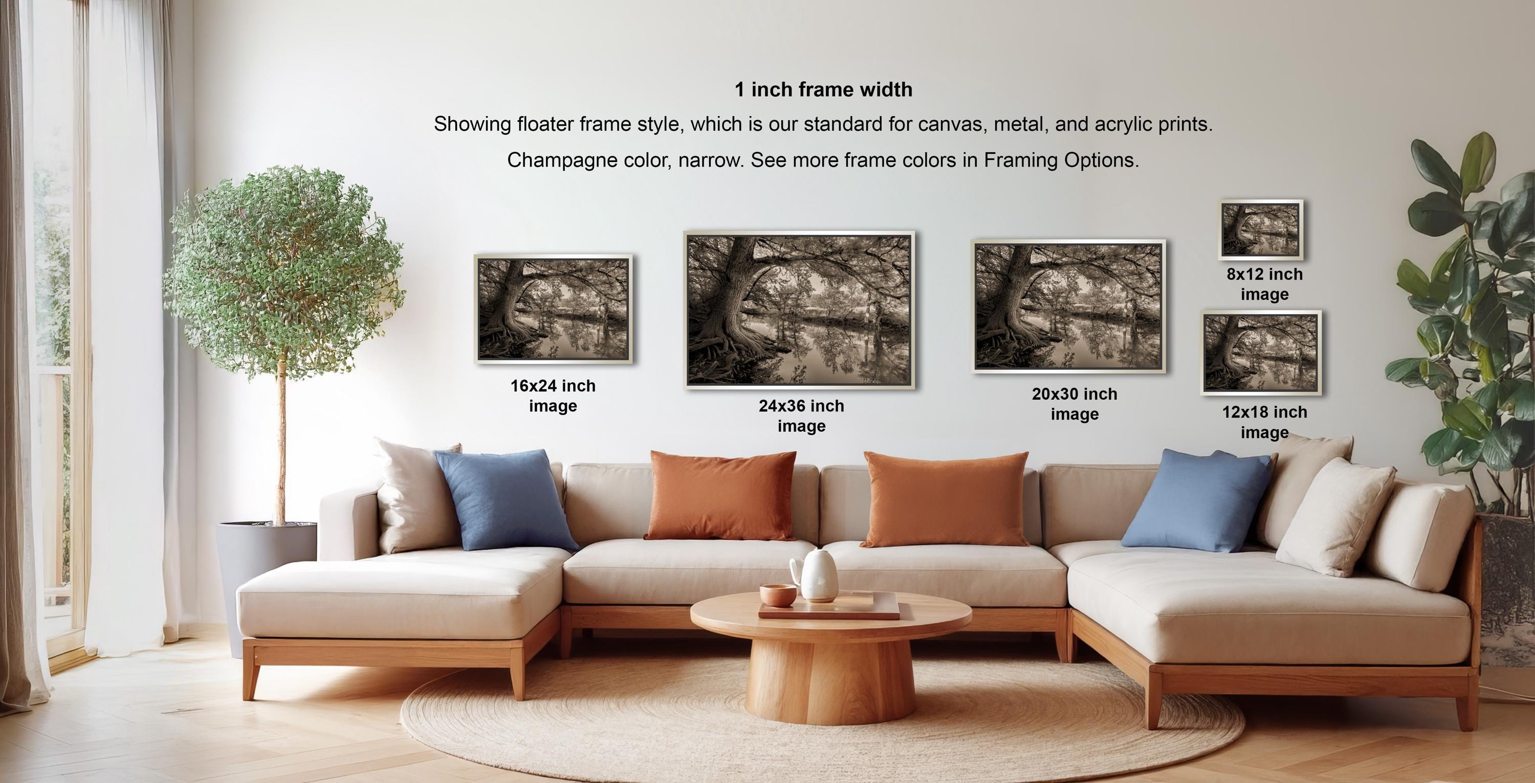 a living room with a large sectional sofa, a coffee table, and a potted plant. There are three framed black and white photographs of trees displayed on the wall, each with a different frame size ranging from 16" to 20" inches. The text on the wall indicates that the frame width is 1 inch, and the photographs are showing the standard frame style for canvas, metal, and acrylic prints.
