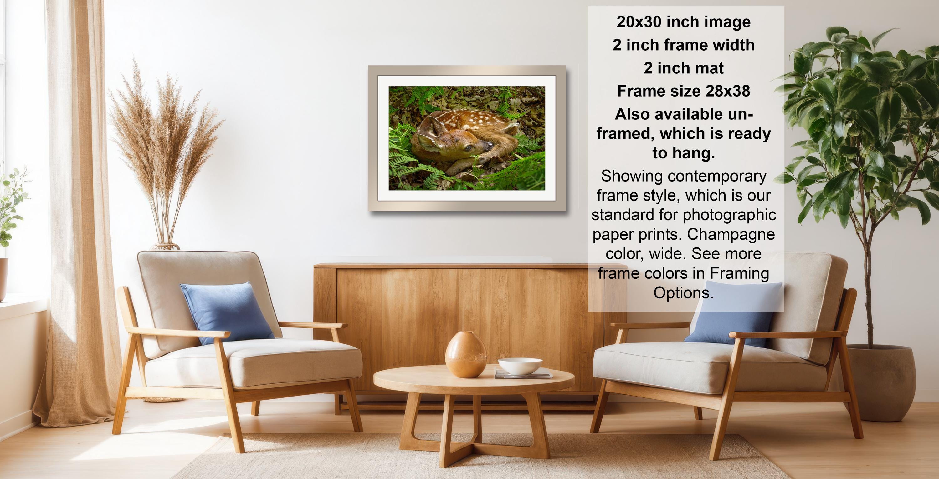 a living room with a framed photograph of a deer on the wall, a wooden coffee table, and two armchairs. The photograph is framed in a modern style, and the frame size is 28.38 inches wide. The photograph is ready to hang on the wall.