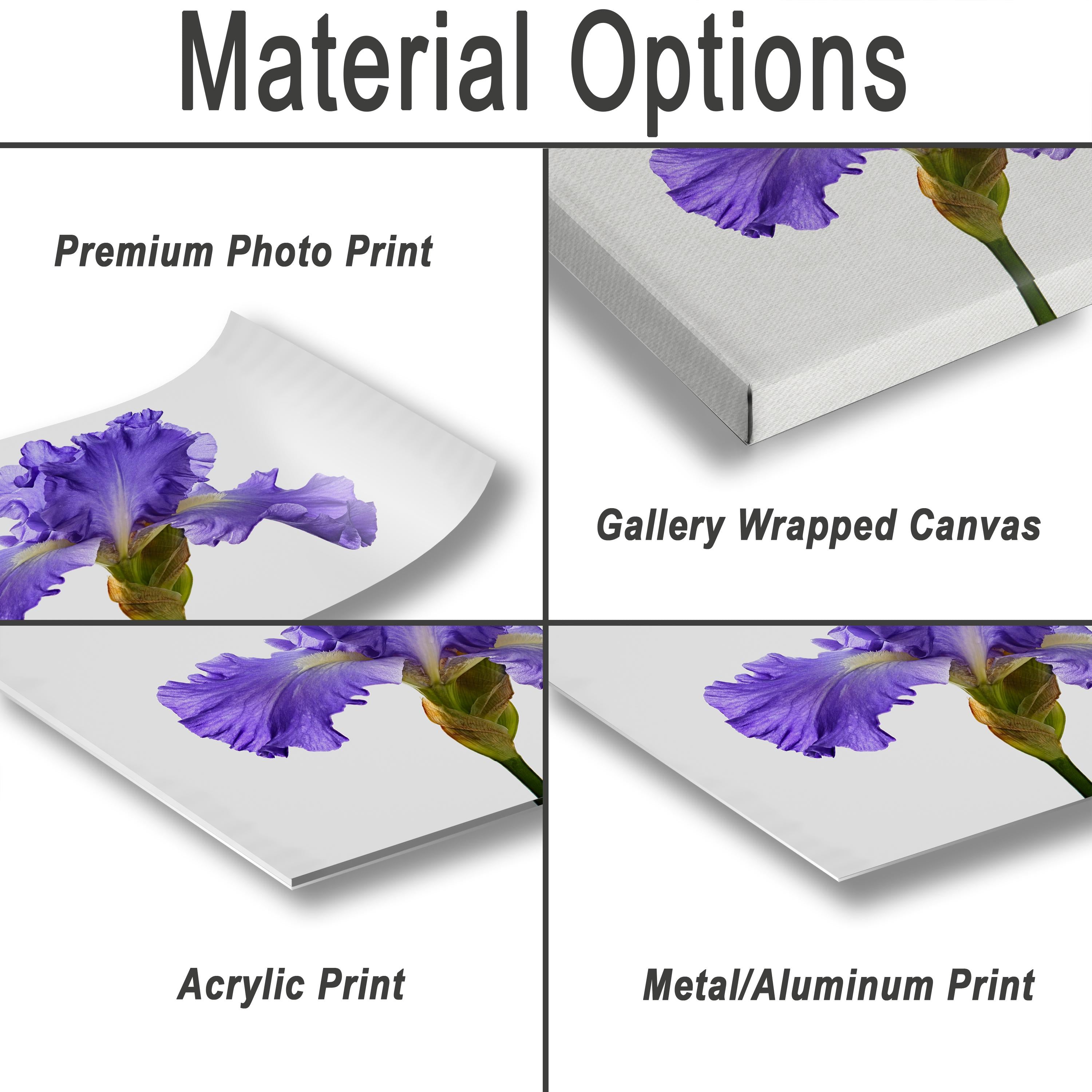 various types of print options for a purple iris flower, including a premium photo print, a gallery wrapped canvas, an acrylic print, and a metal/aluminum print.