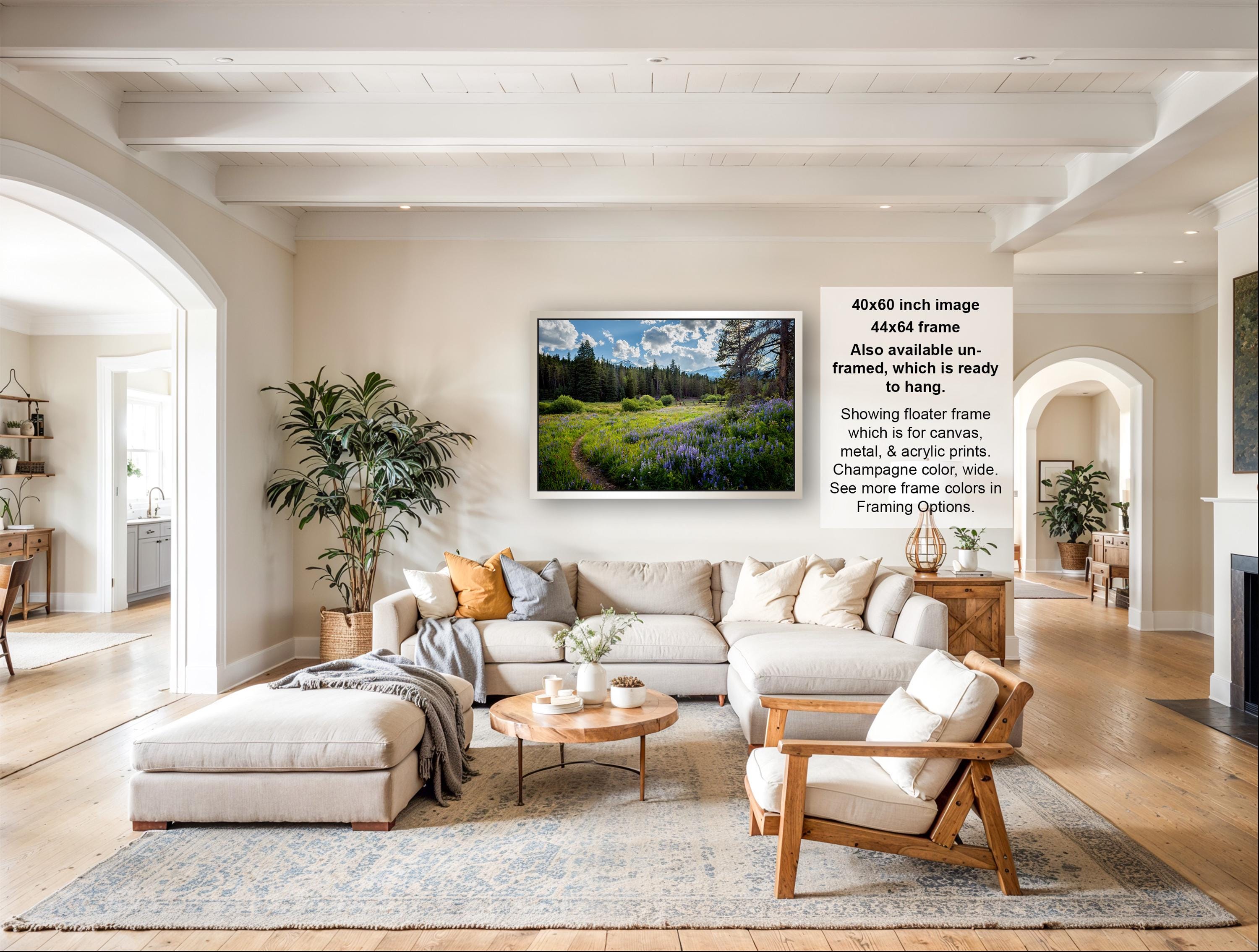 The image is a large framed picture of a field with trees and flowers hanging on the wall of a living room.
