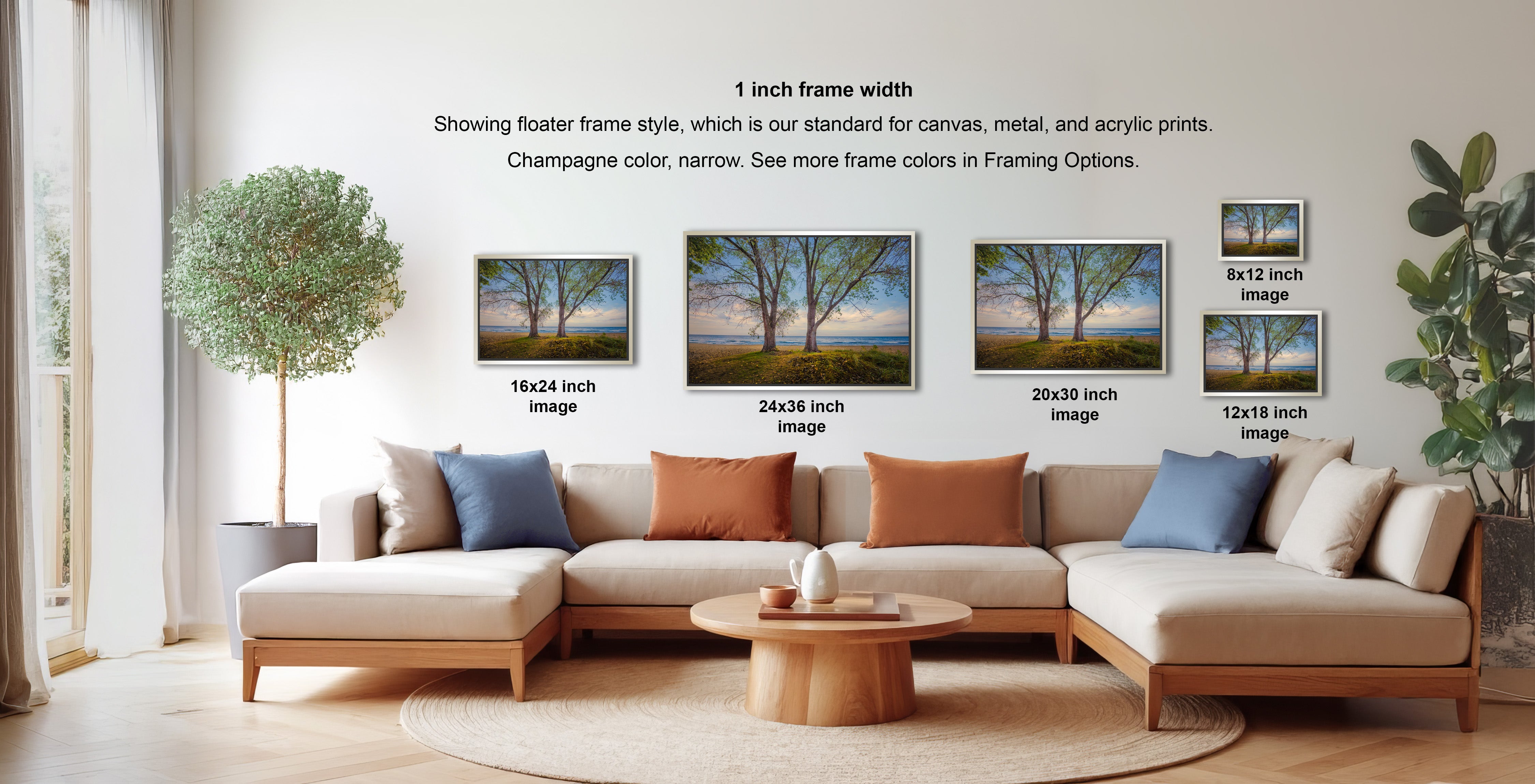 The image is a living room with a large sectional sofa and a coffee table. There are four framed landscape photographs of trees displayed on the wall, each with a different frame size ranging from 16.26 to 12.18 inches. The photographs are arranged in a grid-like pattern, showcasing the different frame widths.