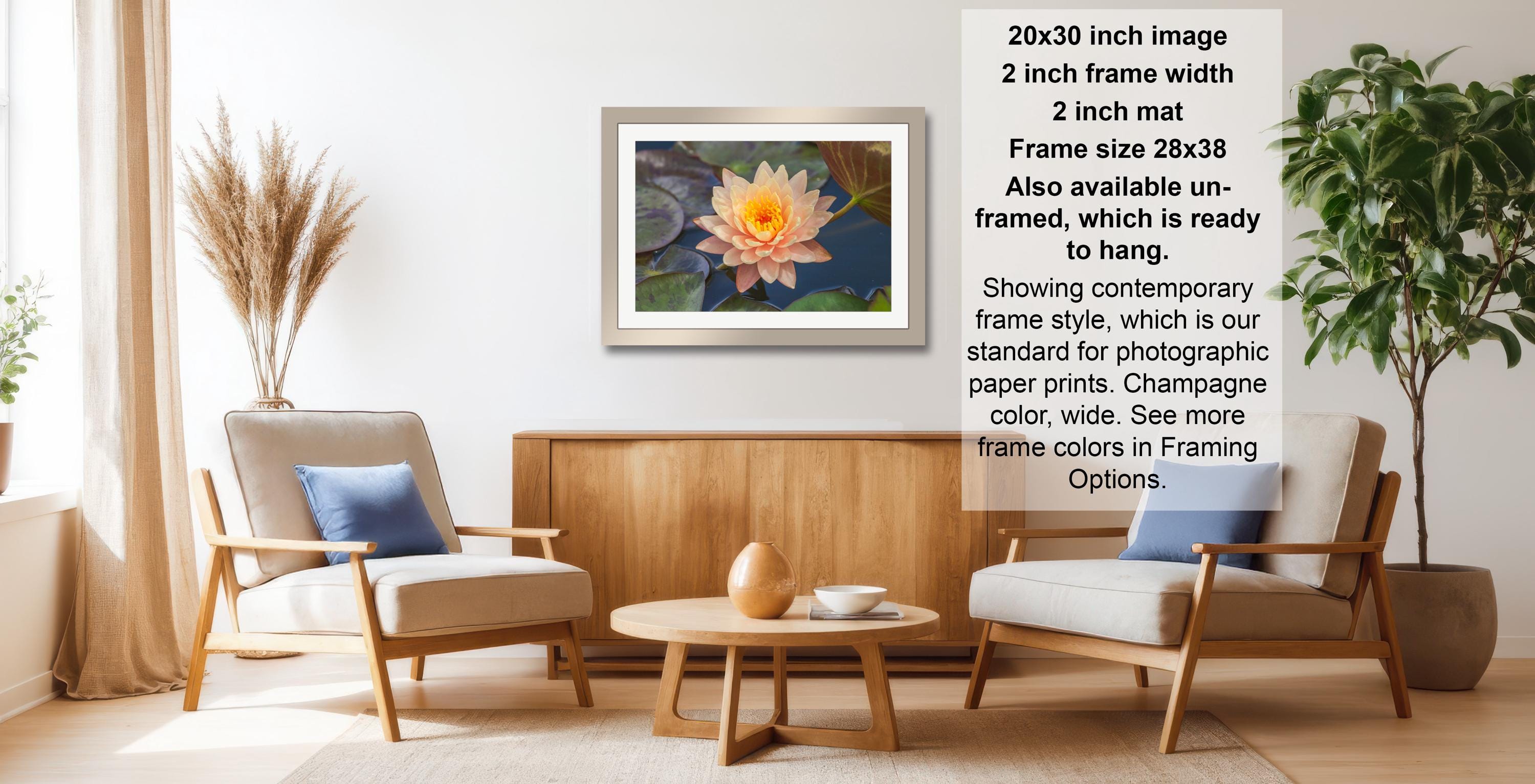 a living room with a wooden coffee table, two white armchairs, and a framed photograph of a flower on the wall.