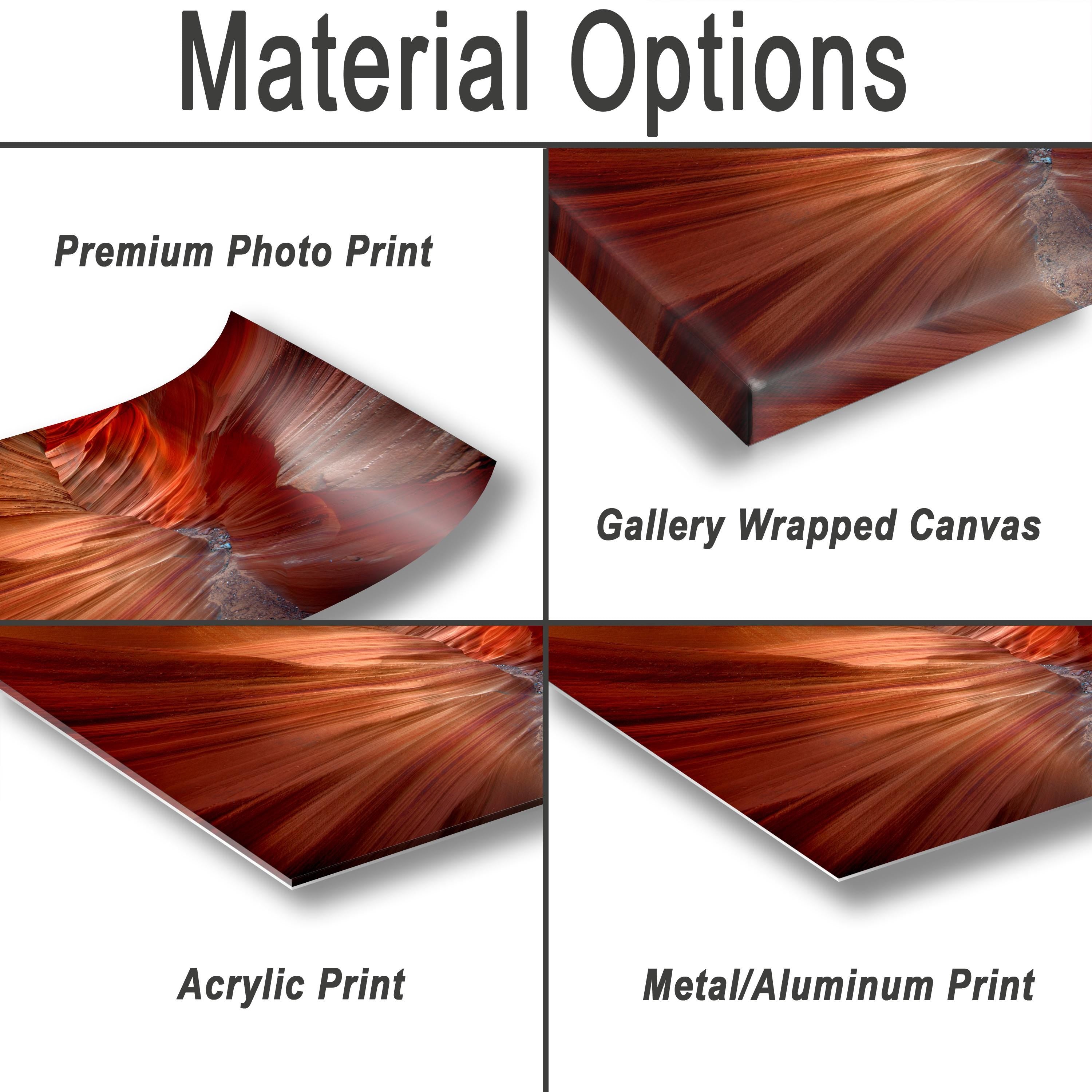 various types of printed materials, including a premium photo print, a gallery wrapped canvas, an acrylic print, and a metal/aluminum print.