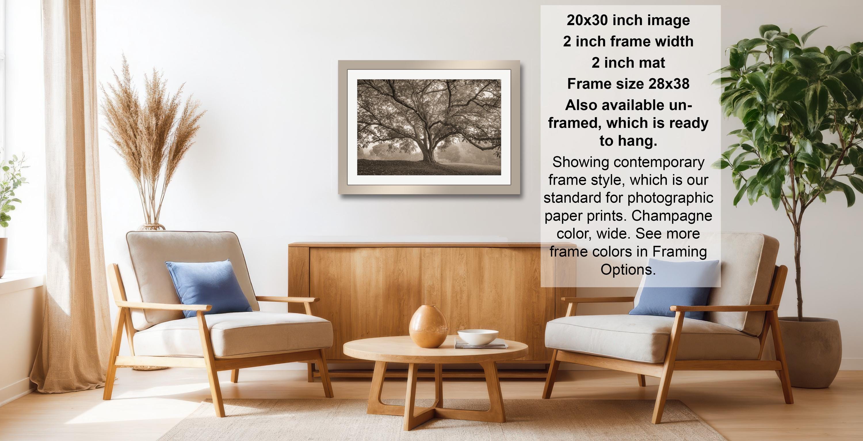 a living room with a framed photograph of a tree hanging on the wall, a wooden coffee table in the center, and two armchairs facing each other.