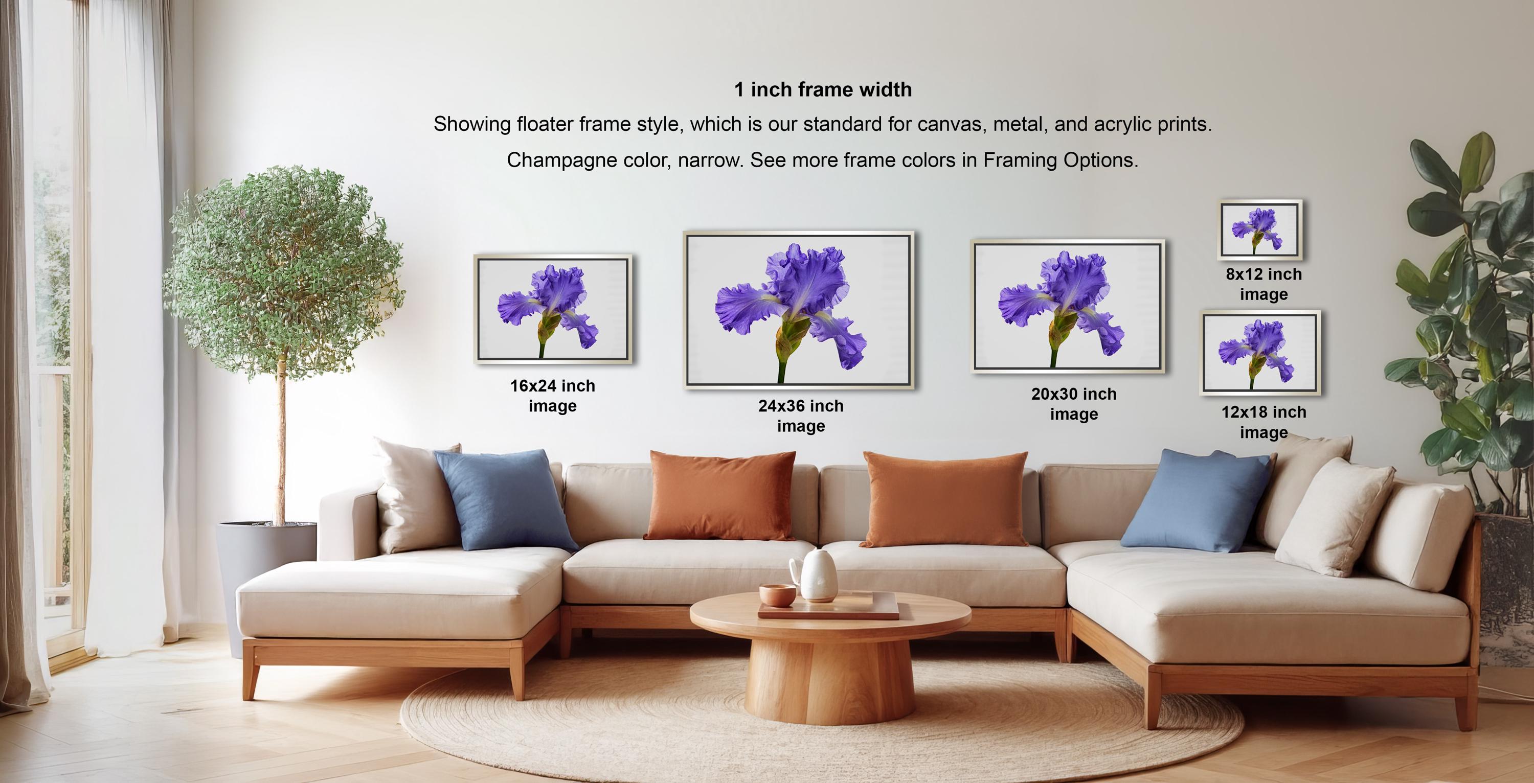 a living room with a large sectional sofa, a coffee table, and a potted plant. There are four framed images of purple flowers displayed on the wall, each with a different frame size ranging from 16" to 20" inches. The text on the wall indicates that the frame width is 1 inch, and the images are showing the standard frame width for canvas, metal, and acrylic prints.