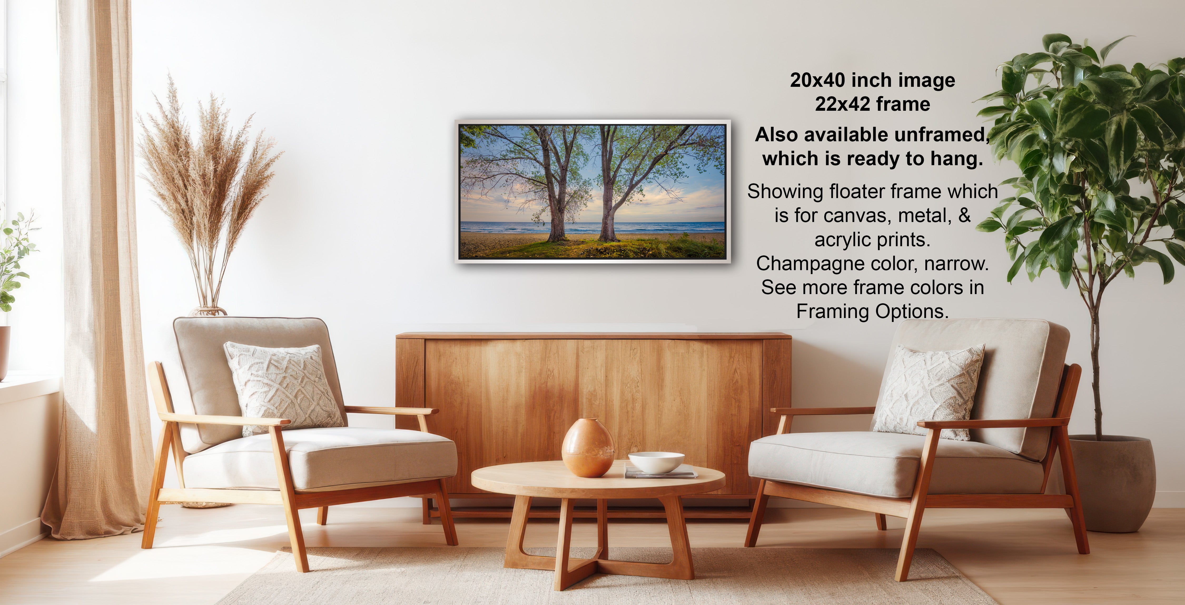 a living room with a wooden coffee table, two white armchairs, and a framed landscape painting hanging on the wall.