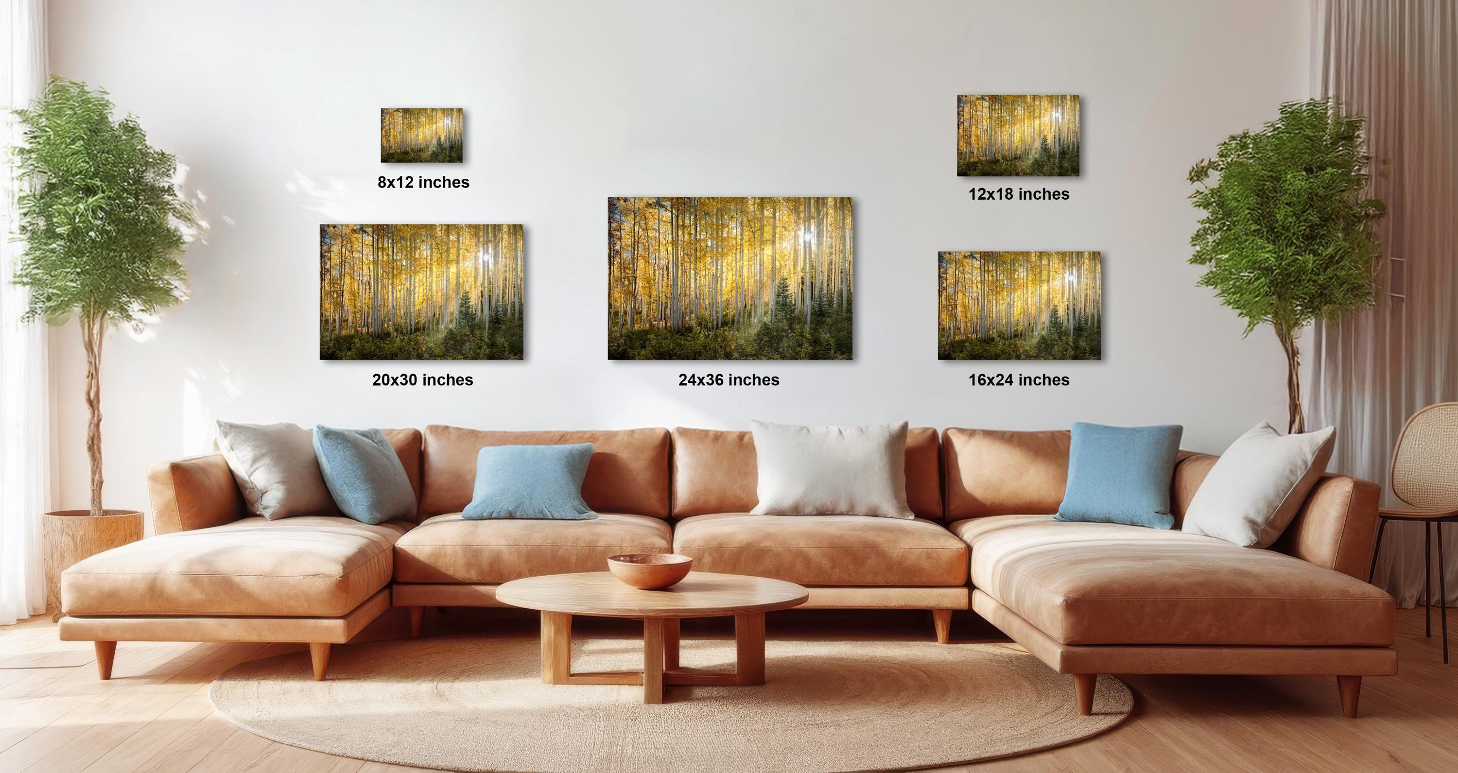 The image is a modern living room with a large sectional sofa, a coffee table, and several potted plants. The wall is decorated with three framed photographs of a forest scene, each with a different size and resolution.