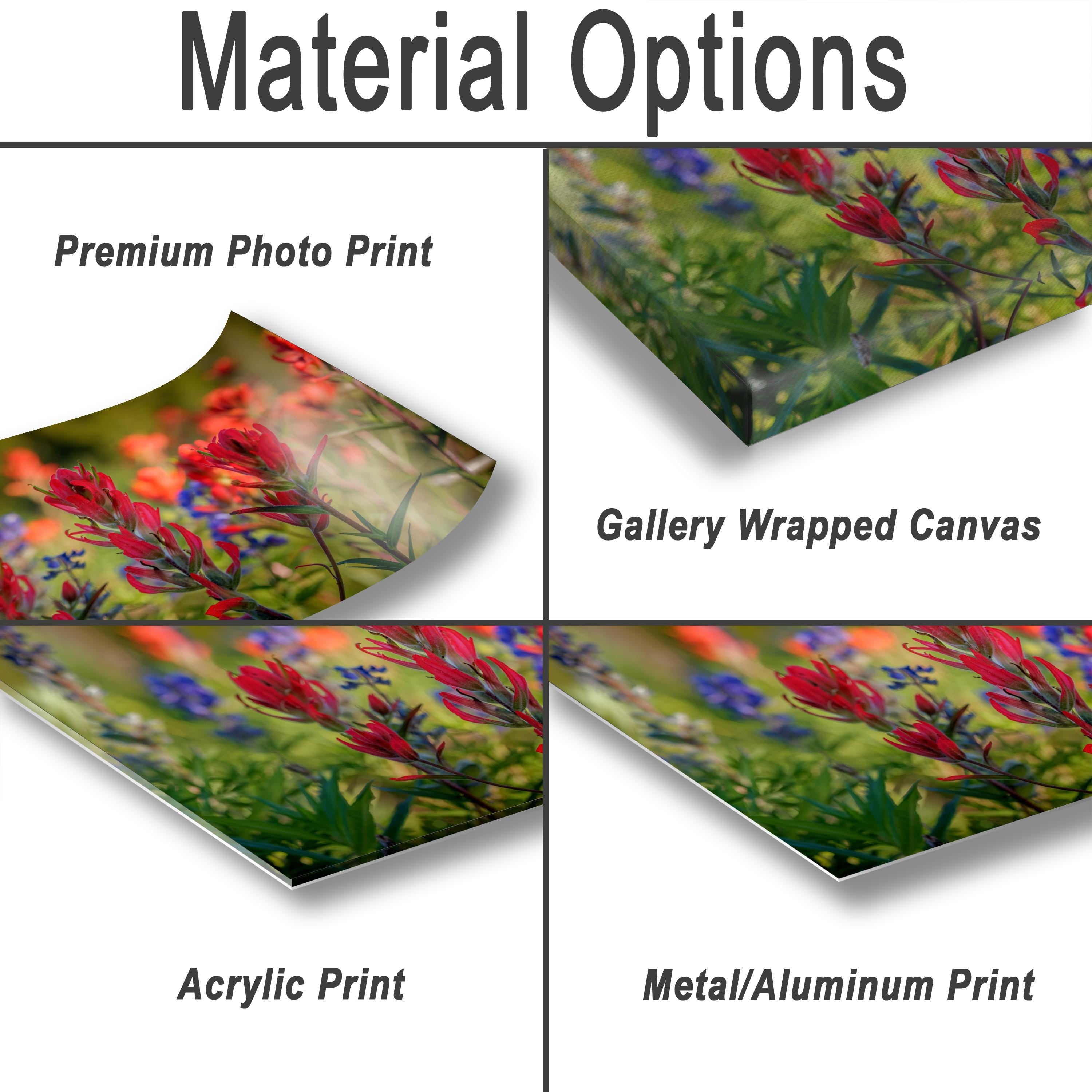 various types of printed materials, including a premium photo print, a gallery wrapped canvas, an acrylic print, and a metal/aluminum print.