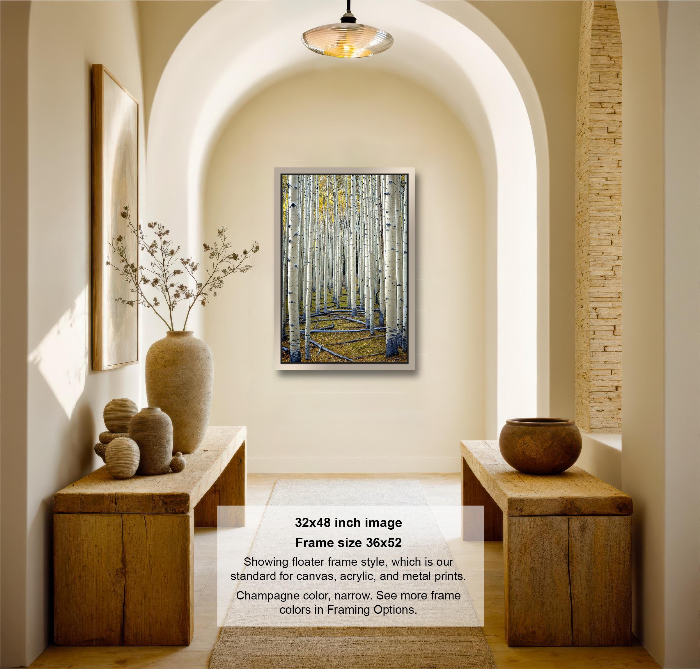 The image is a 32x48-inch framed artwork depicting a forest scene with a path leading through the trees. The frame is 36x42 inches and is hanging on a wall. The artwork is framed in a wooden frame, and the frame style is described as a foam frame, which is a standard for canvas, acrylic, and metal prints. The colors in the frame are listed as a standard color, and the frame is described as having a frame color that is not listed.