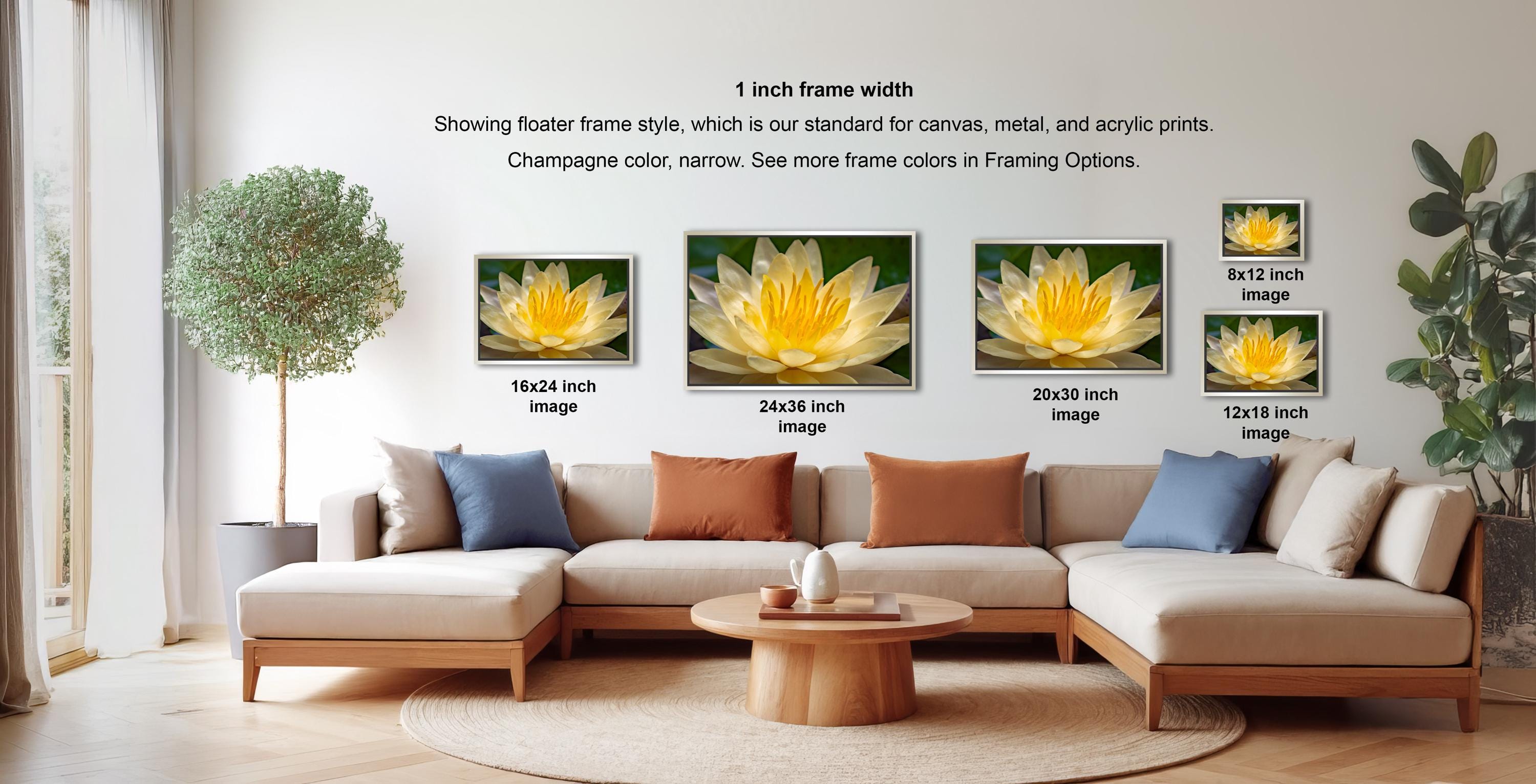The image is a living room with a large sectional sofa, a coffee table, and a potted plant. There are four framed images of a yellow flower displayed on the wall, each with a different frame size ranging from 16.26 to 20.30 inches.