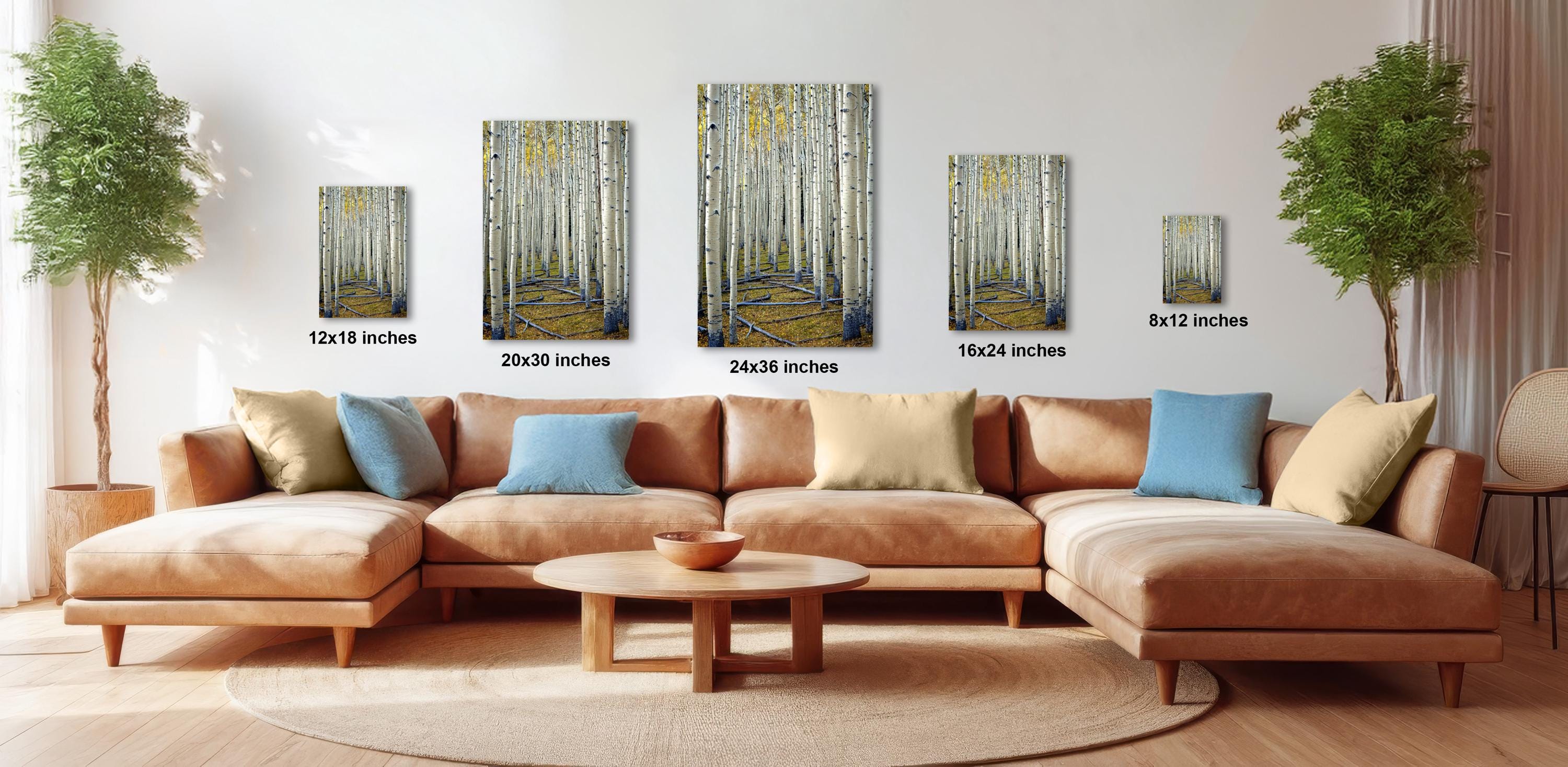 The image is a modern living room with a large sectional sofa, a coffee table, and several potted plants. The walls are decorated with framed artwork depicting a forest scene, and the furniture is arranged to create a comfortable and inviting atmosphere.