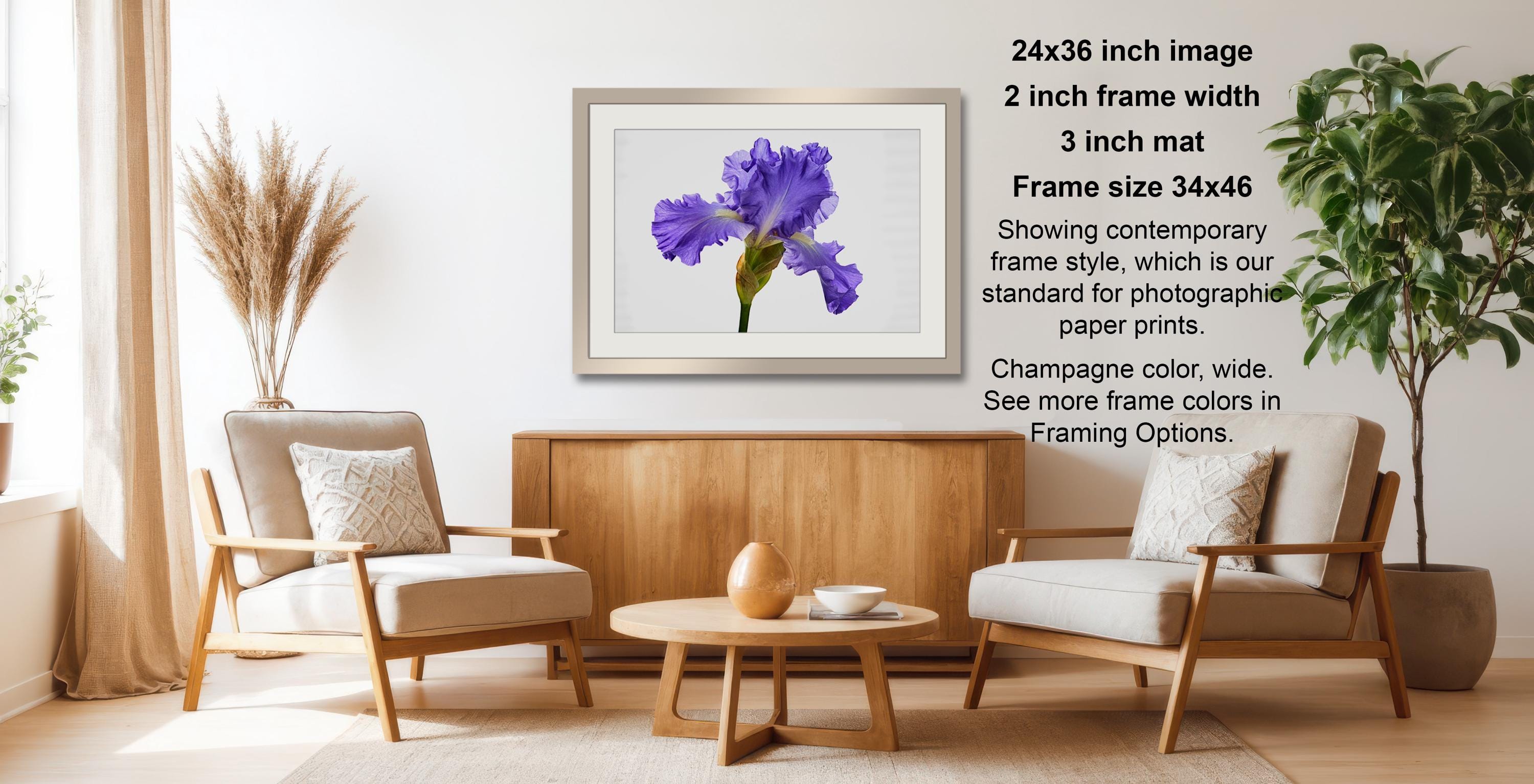 a living room with a wooden coffee table, two white armchairs, and a framed photograph of a purple iris flower hanging on the wall.