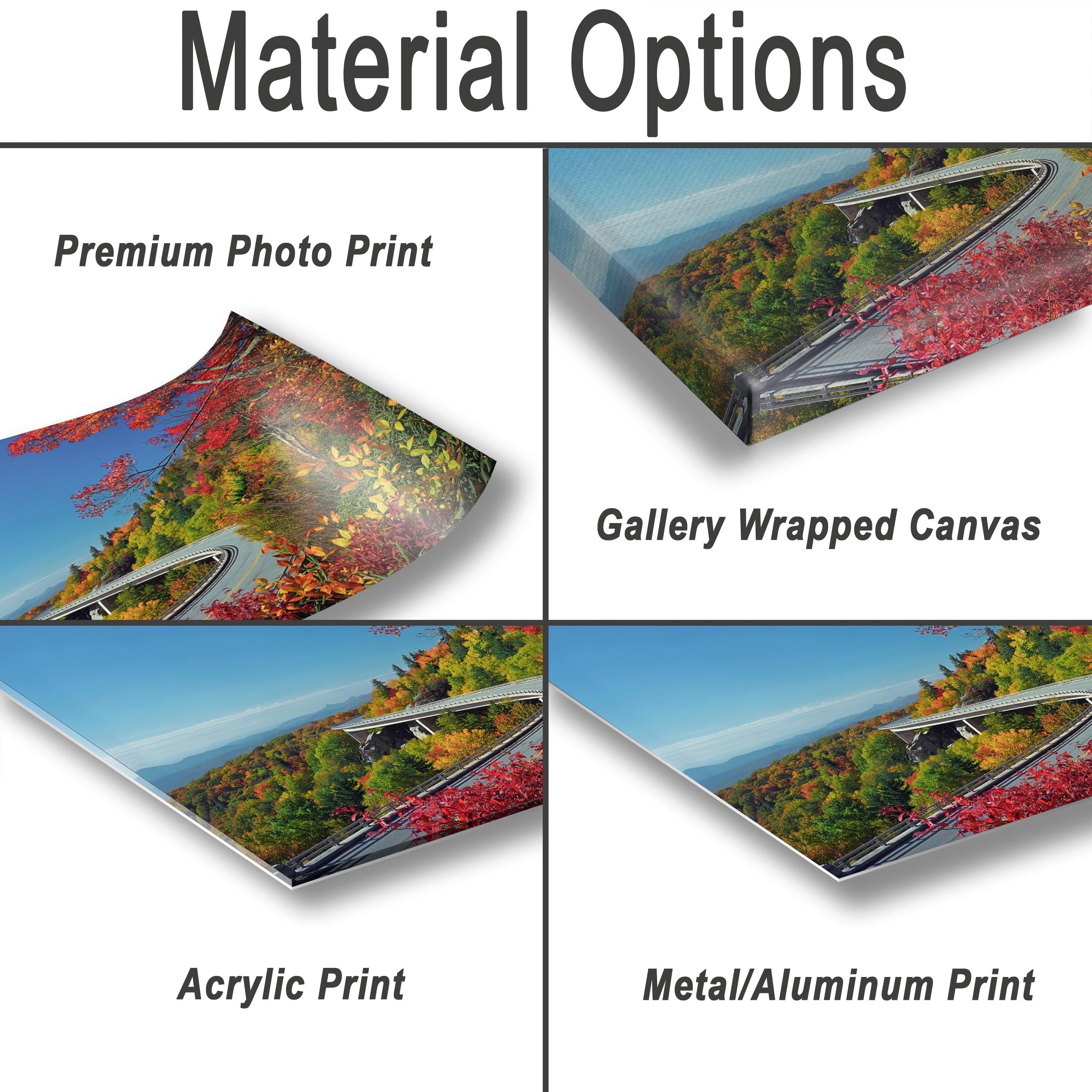 various types of printed materials, including a premium photo print, a gallery wrapped canvas, an acrylic print, and a metal/aluminum print.