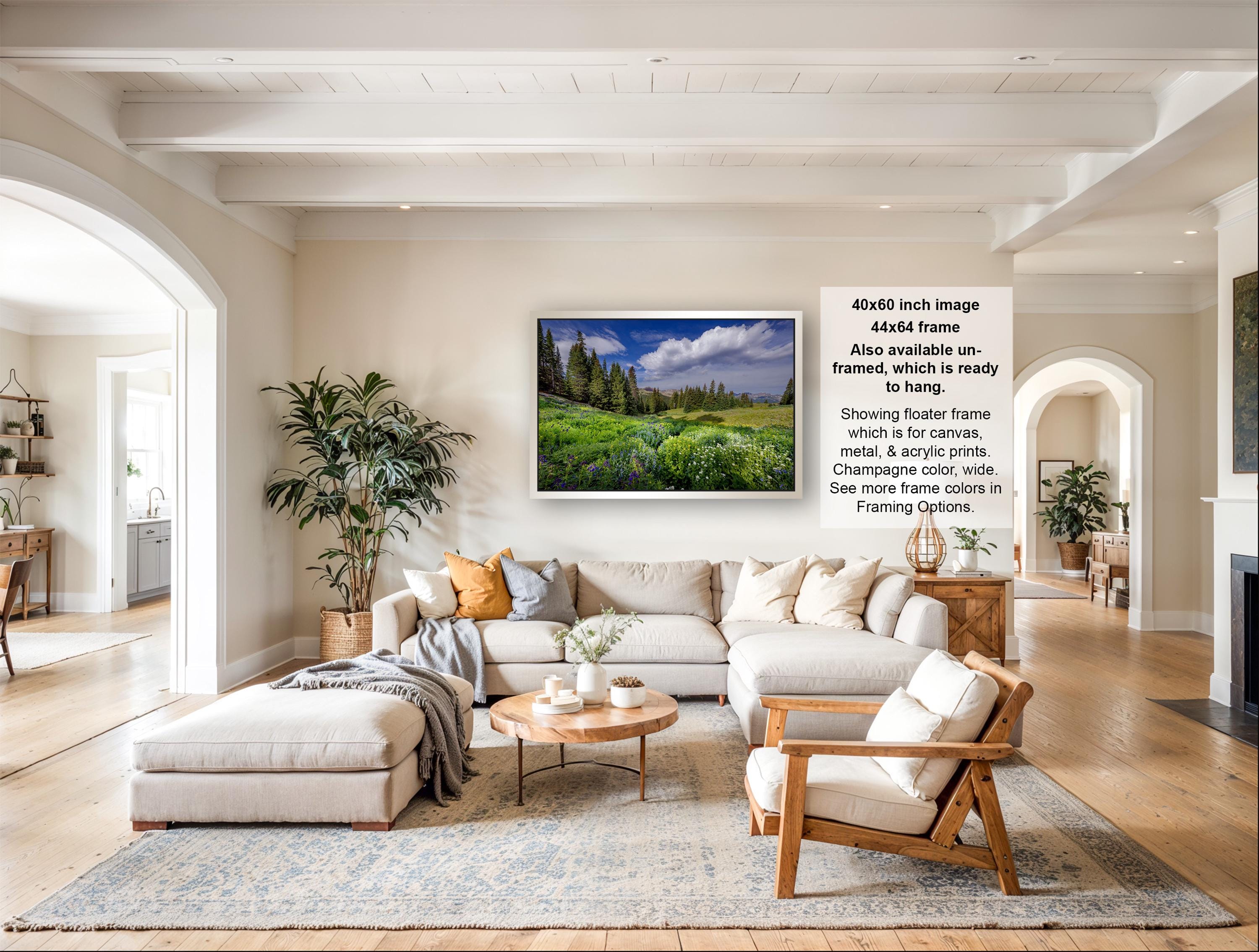 The image is a large framed picture of a scenic landscape hanging on a wall in a spacious living room.