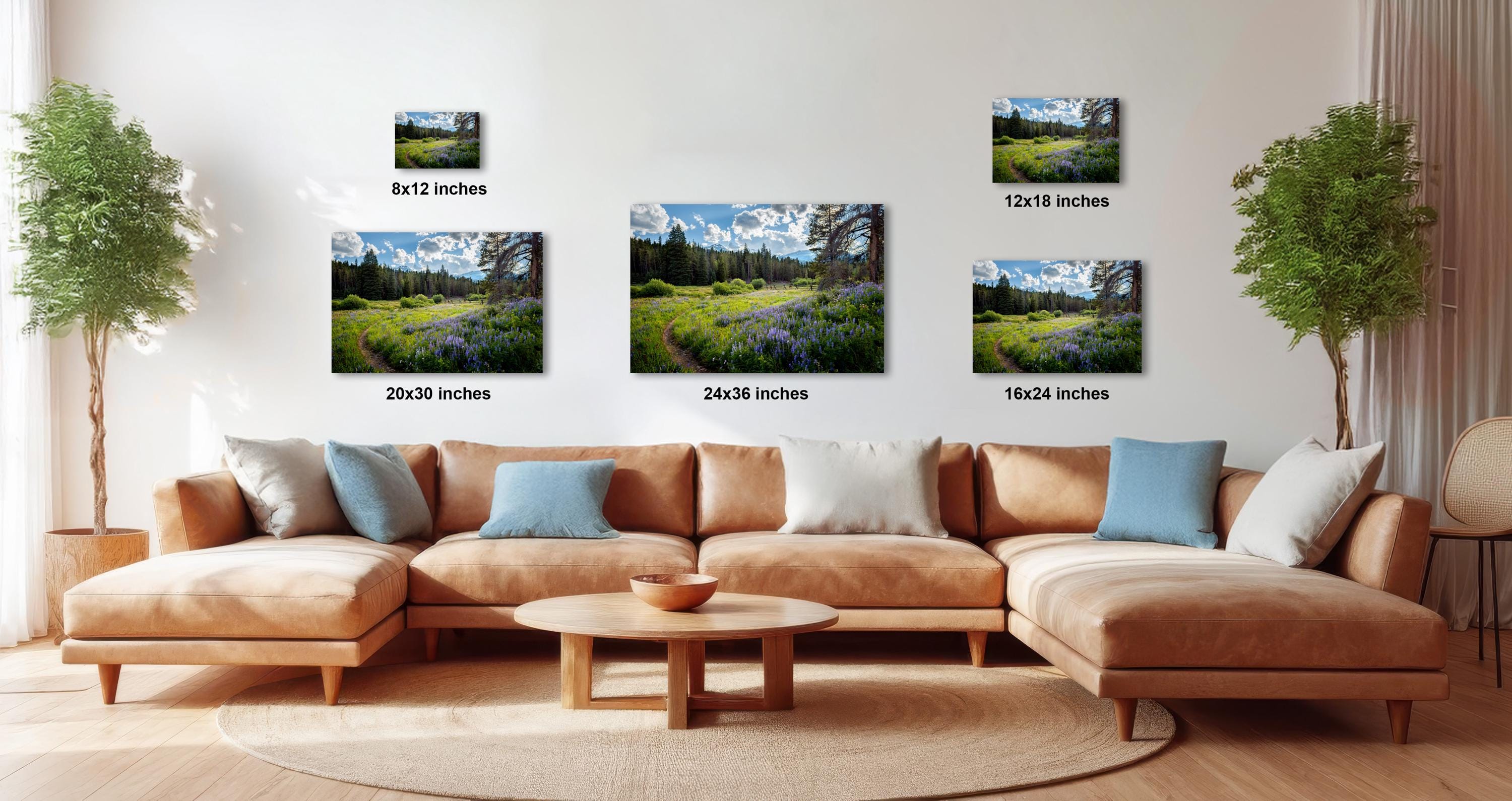 The image is a modern living room with a large sectional sofa, a coffee table, and several potted plants. The wall is decorated with three framed landscape paintings, each varying in size and depicting different scenes.