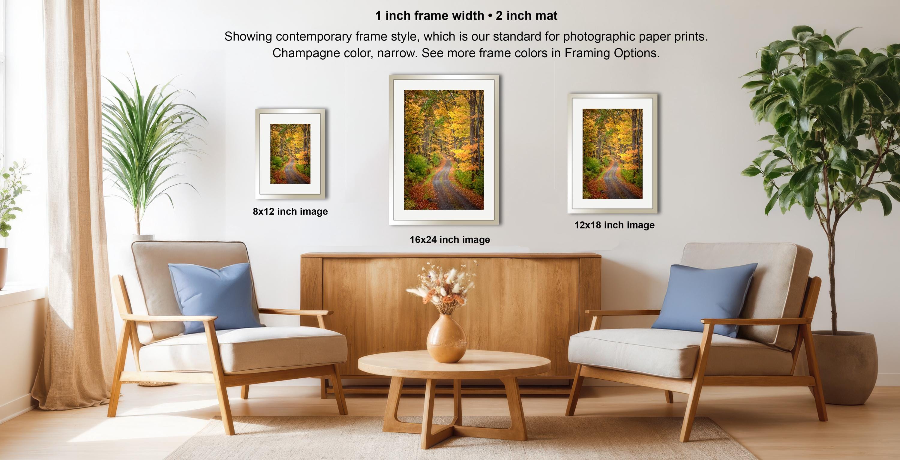 a living room with two chairs, a coffee table, and three framed pictures hanging on the wall. The frames vary in size, with the largest one being 16.2 inches wide and the smallest one being 12.2 inches wide. The chairs have blue pillows, and there are potted plants in the room. The overall scene appears to be a cozy and inviting space.