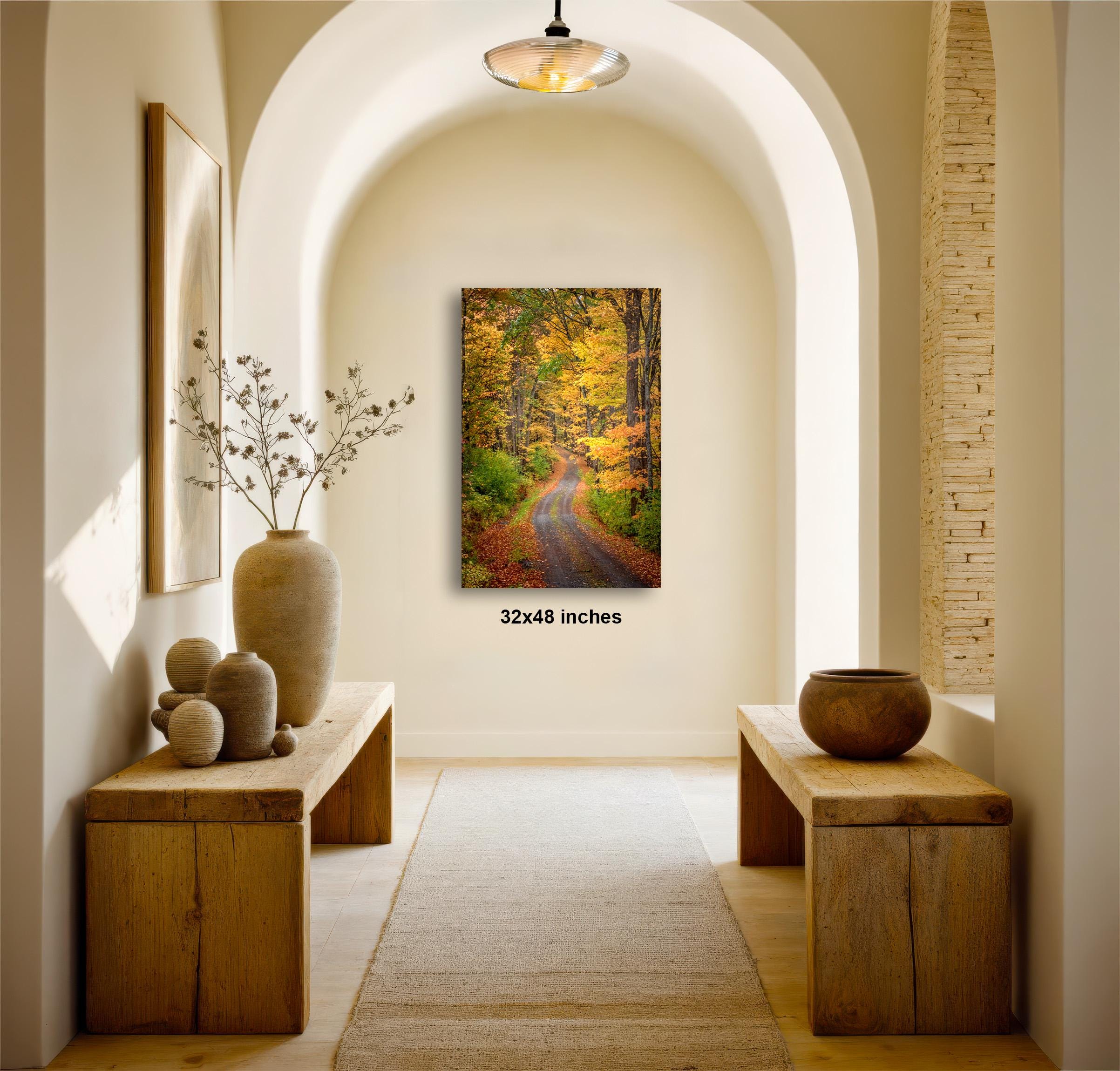 a serene hallway with a wooden bench on the left side and a wooden bench on the right side. Above the benches, there is a framed picture of a forest path with autumn foliage. The hallway has a clean, minimalist design with white walls and a wooden floor.