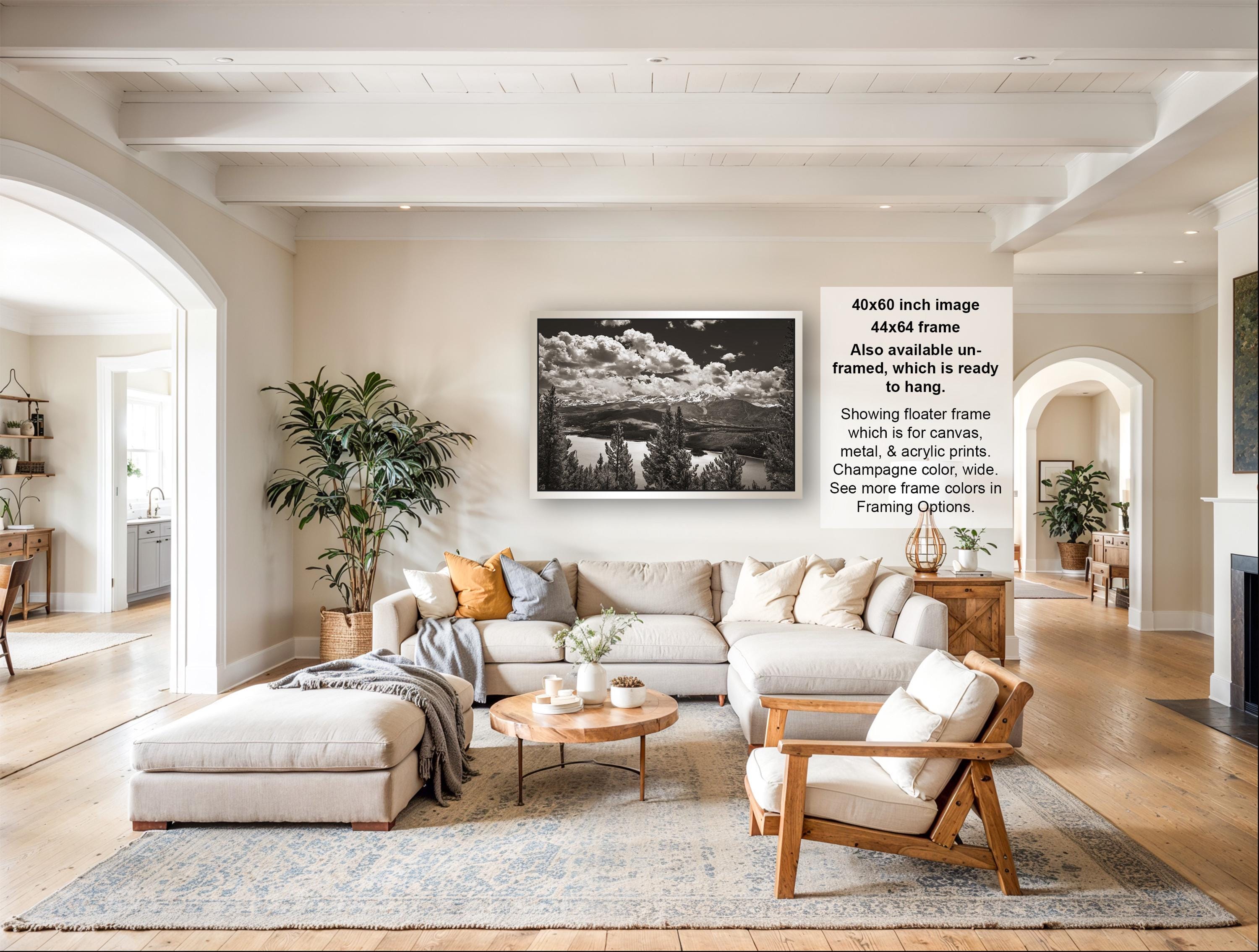 The image is a large, high-quality photograph of a living room with a sectional sofa, a coffee table, and various decorative elements such as potted plants and vases.