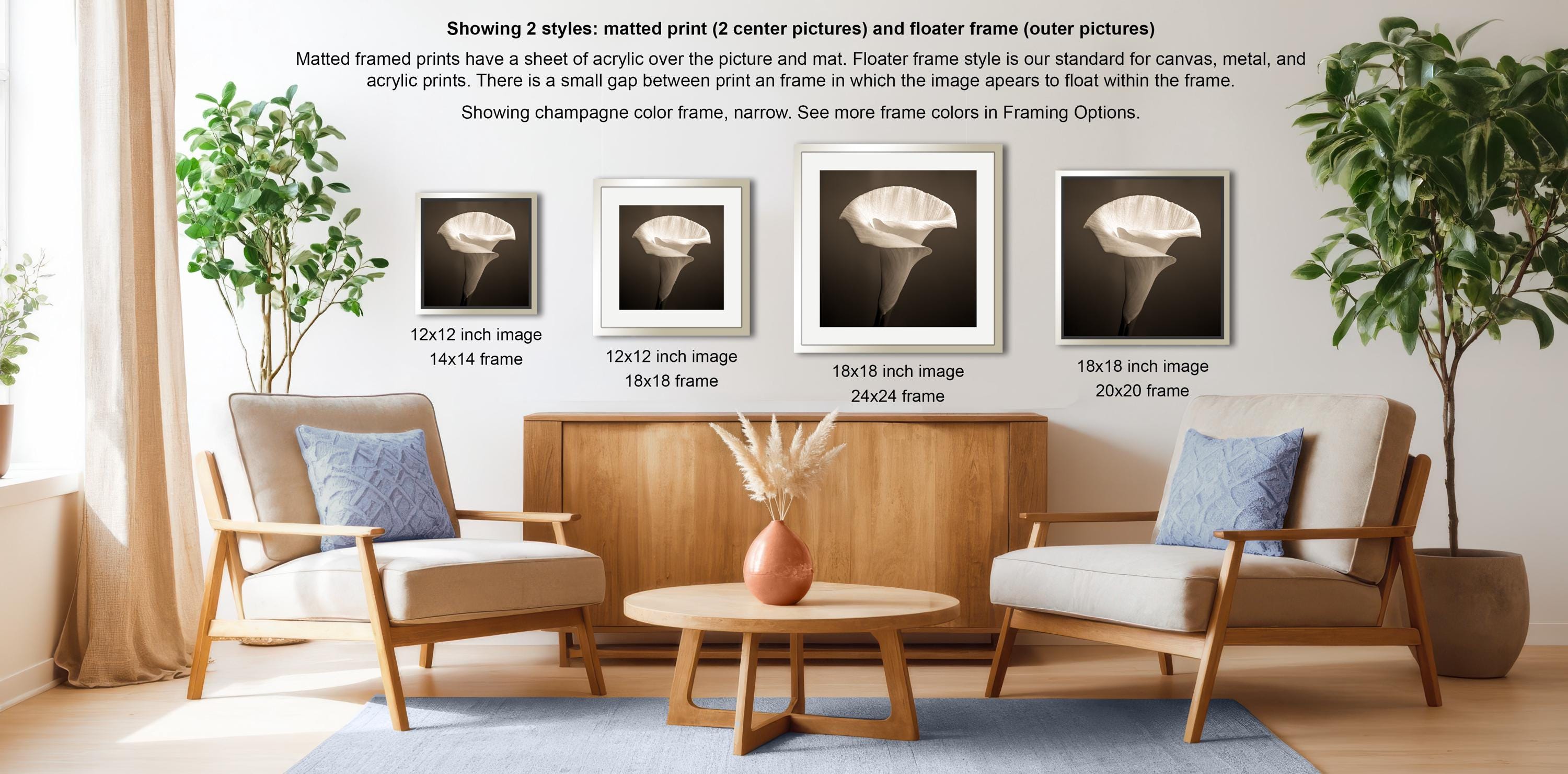a living room with three framed pictures of a white flower on a wooden table, two white armchairs, and a potted plant. The text provides information about the different frame sizes and styles, including matting, mat frame, and flatter frame.