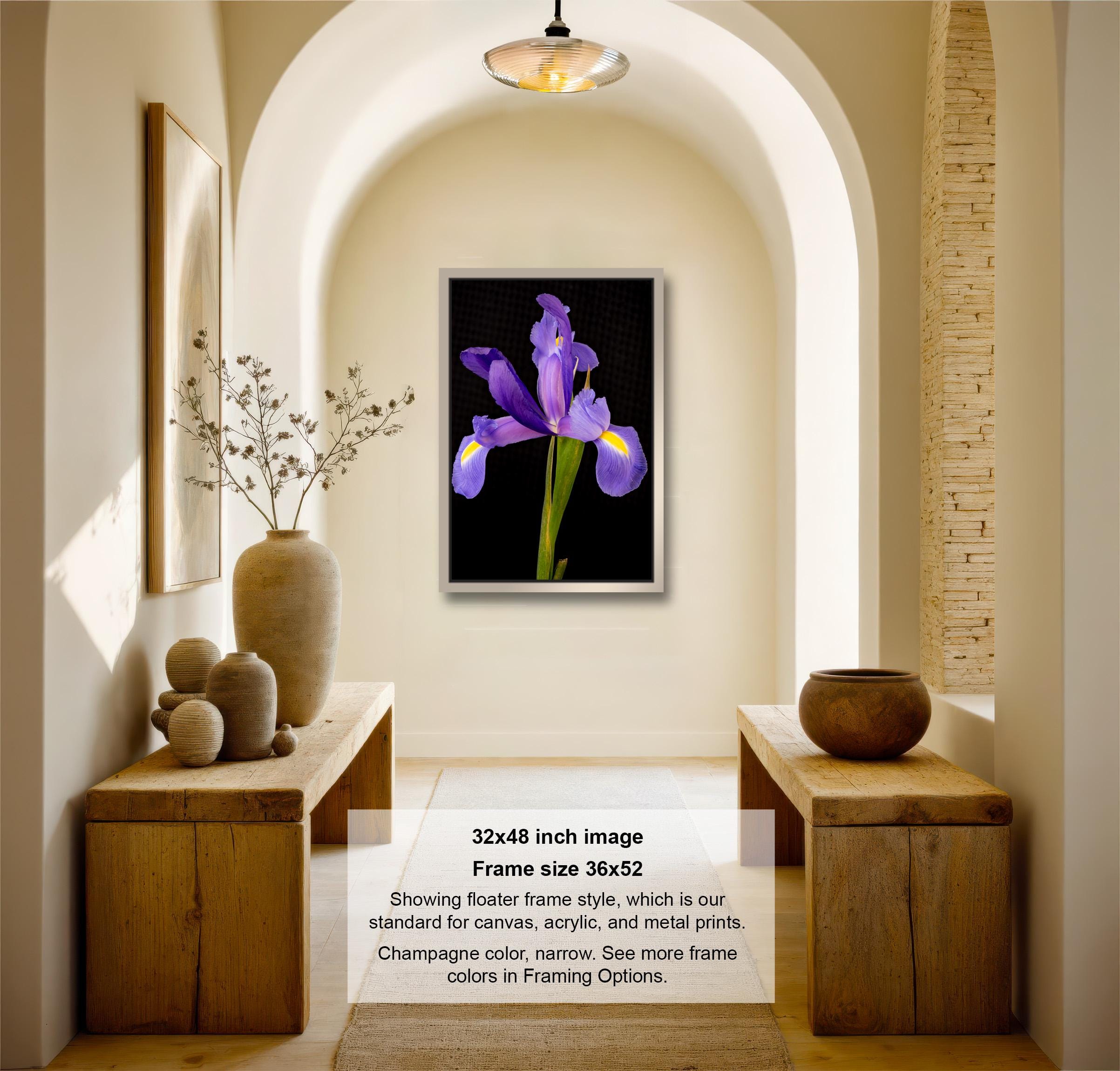 The image is a 32x48-inch framed photograph of a purple iris flower, hanging on a wall in a room with wooden furniture and decorative elements.