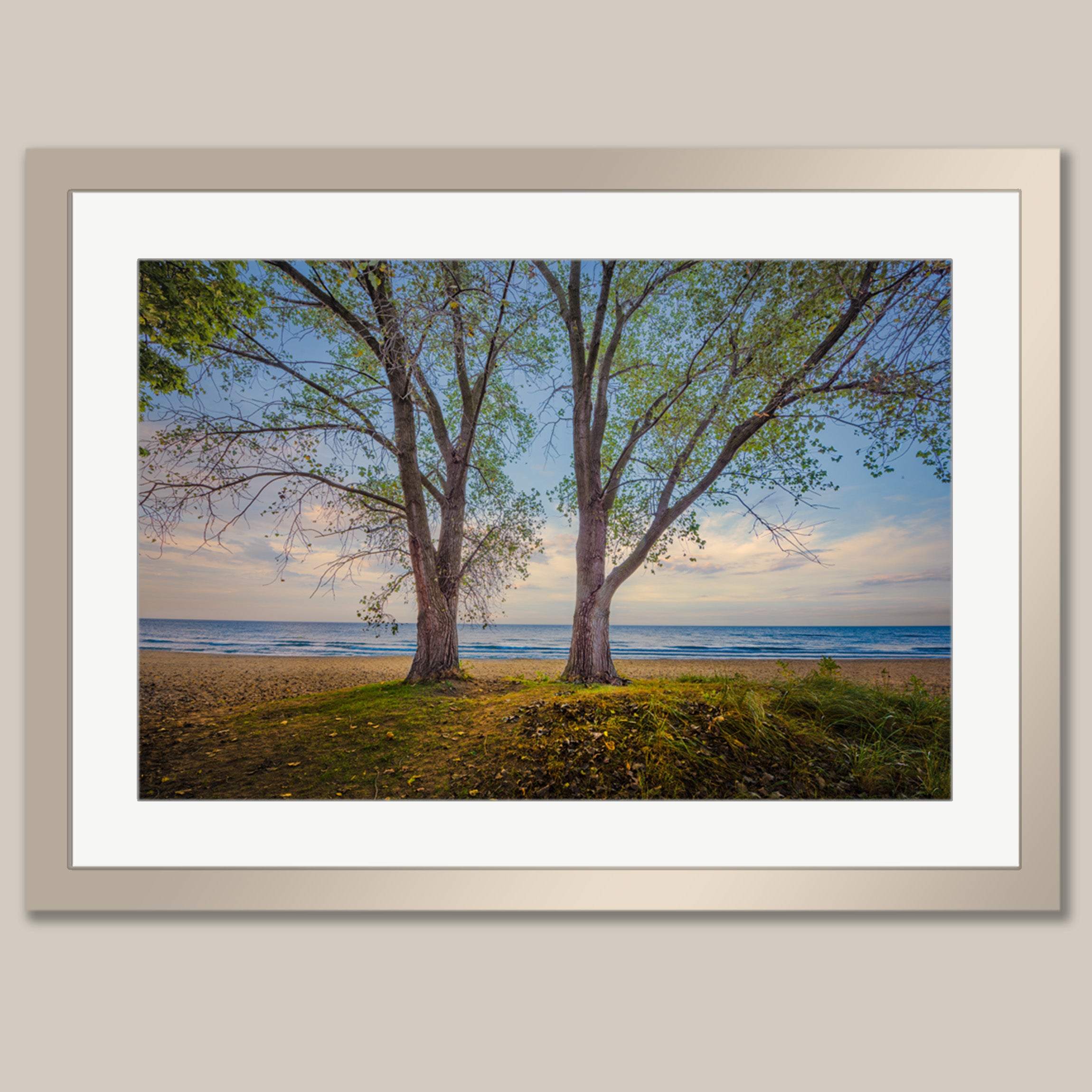 A framed photograph depicting a serene beach scene with two tall trees on the sandy shore, overlooking the calm ocean.