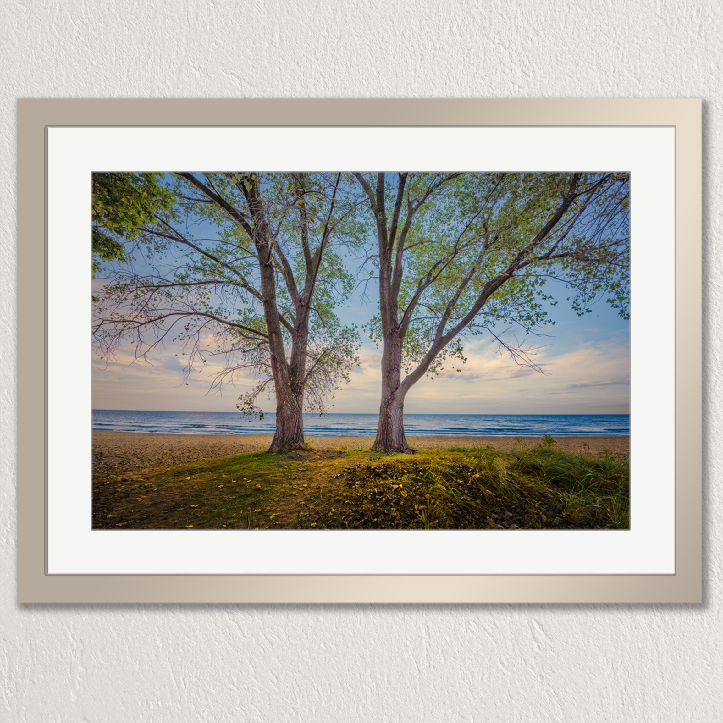A framed photograph depicting a serene beach scene with two tall trees on the sandy shore, overlooking the calm ocean.