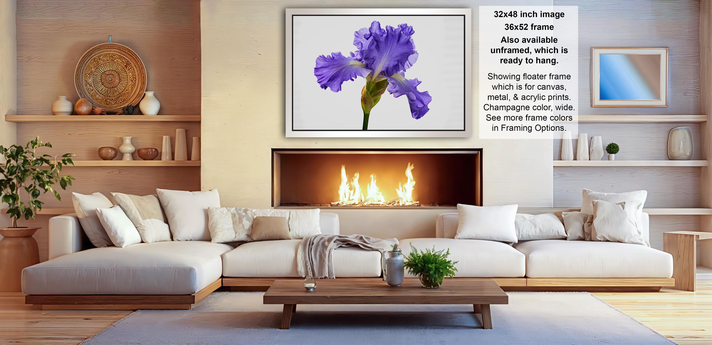 a cozy living room with a fireplace, white sofas, and a wooden coffee table. The room has a warm and inviting atmosphere, with a fireplace providing a focal point and a painting of a purple iris hanging above it. The furniture and decor create a harmonious and comfortable space for relaxation and socializing.