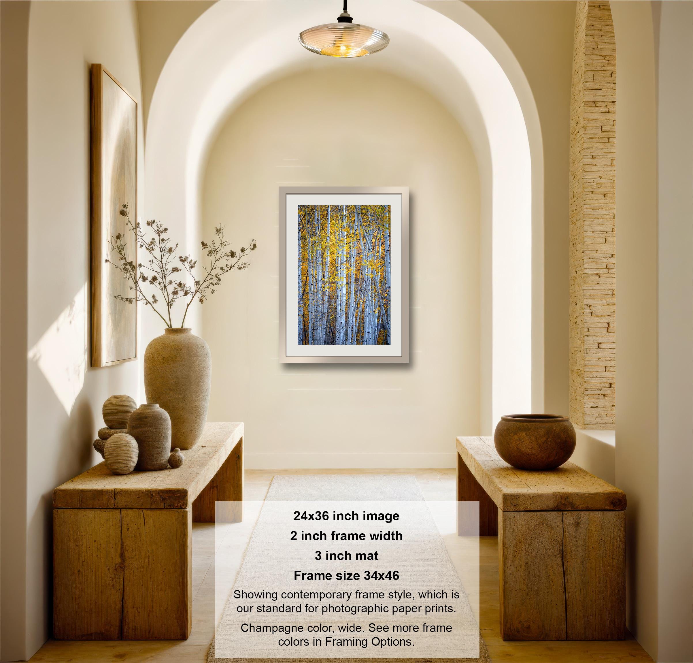 a hallway with a framed photograph of a forest scene hanging on the wall. The hallway has wooden benches and decorative vases on display, creating a cozy and inviting atmosphere.