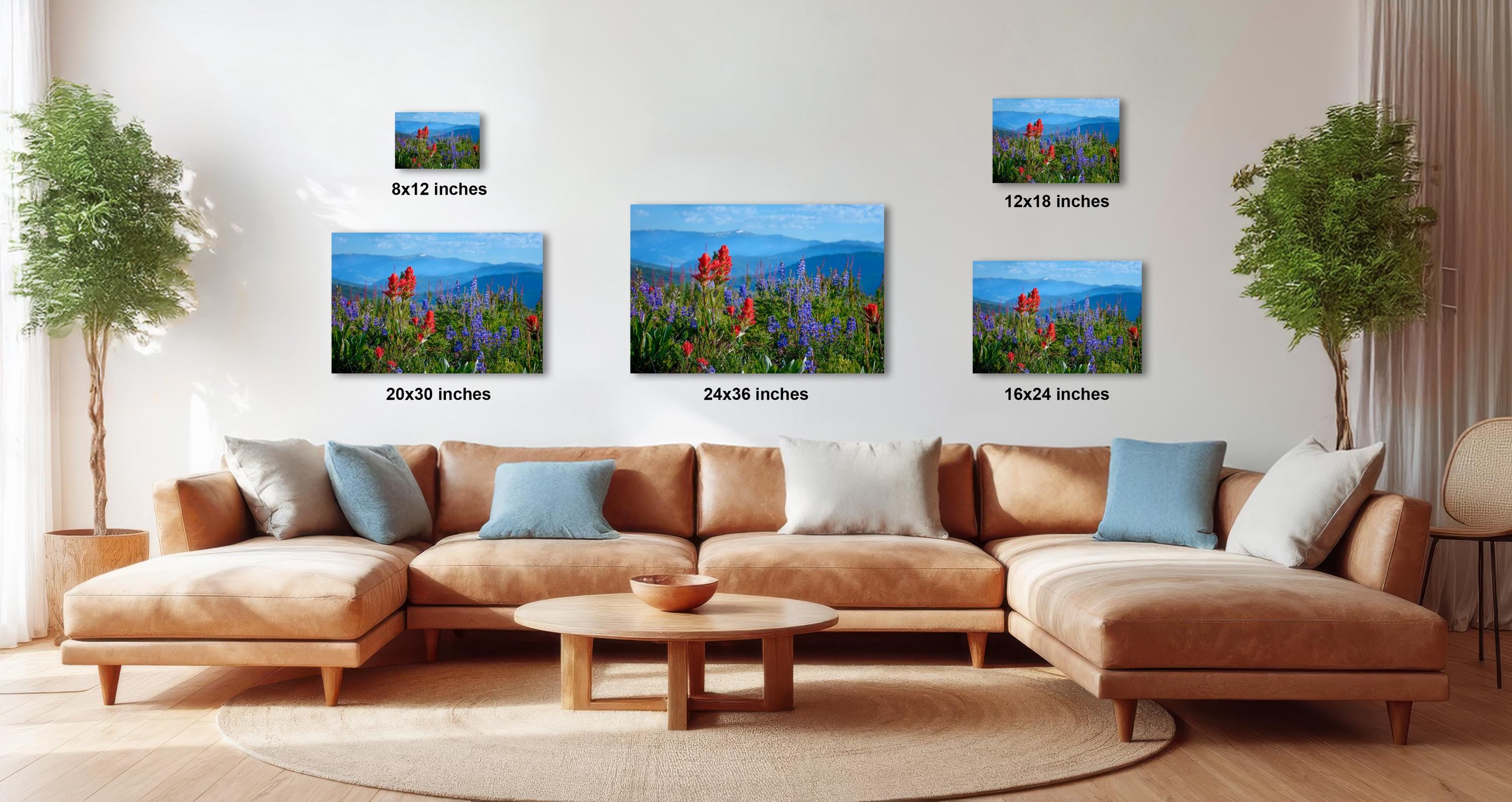 a cozy living room with a large brown sectional sofa, a wooden coffee table, and a potted plant. Above the sofa, there are three framed pictures of a field of flowers, each with a different size and resolution, ranging from 12x12 inches to 16x16 inches.