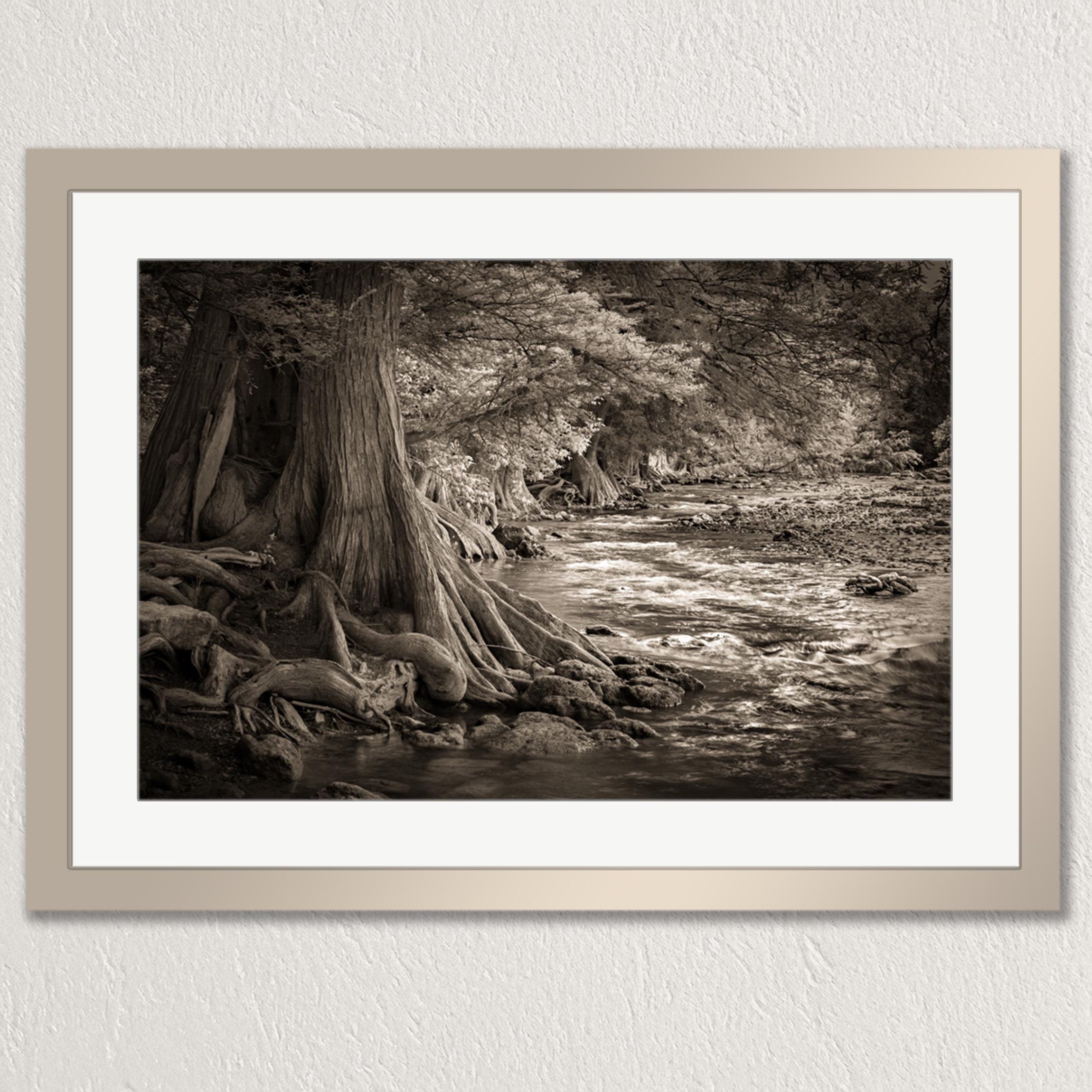 A black and white photograph of a river flowing through a forested area, with a large tree trunk partially submerged in the water.