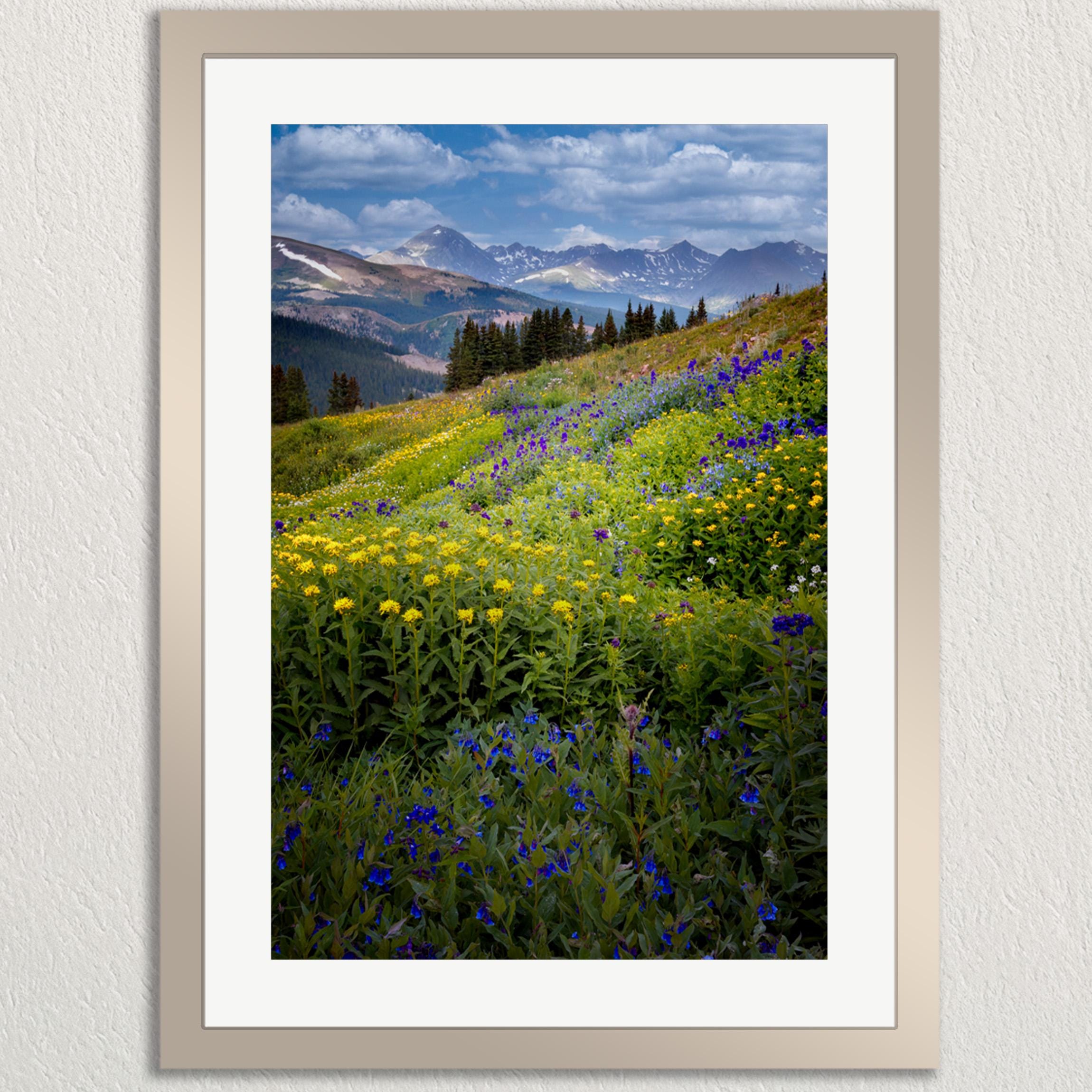 A framed photograph depicting a vibrant mountain landscape with a lush meadow filled with yellow and blue wildflowers, surrounded by snow-capped mountains under a blue sky with clouds.