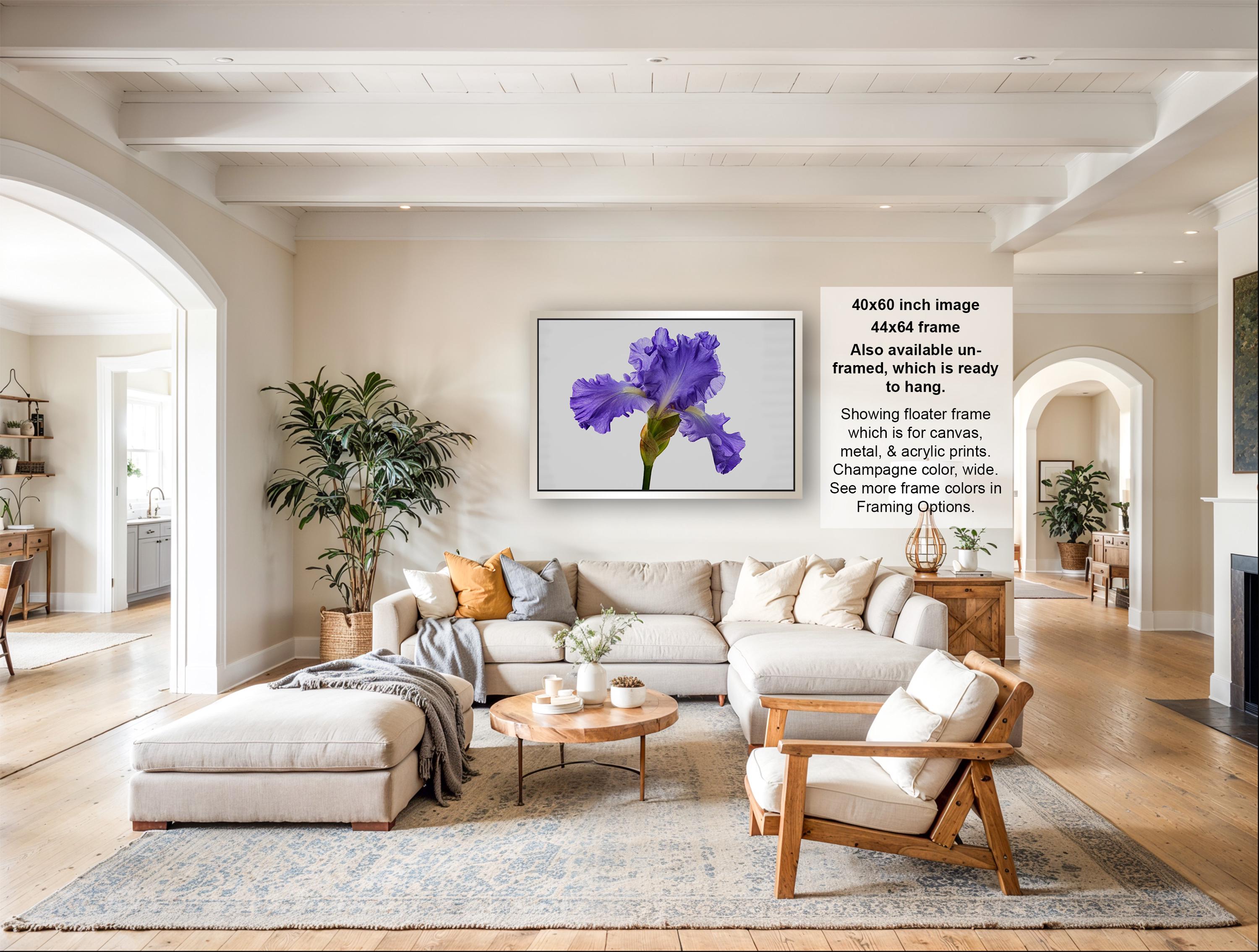 The image is a large, bright, and spacious living room with a comfortable sofa, a coffee table, and various decorative elements such as potted plants and vases.
