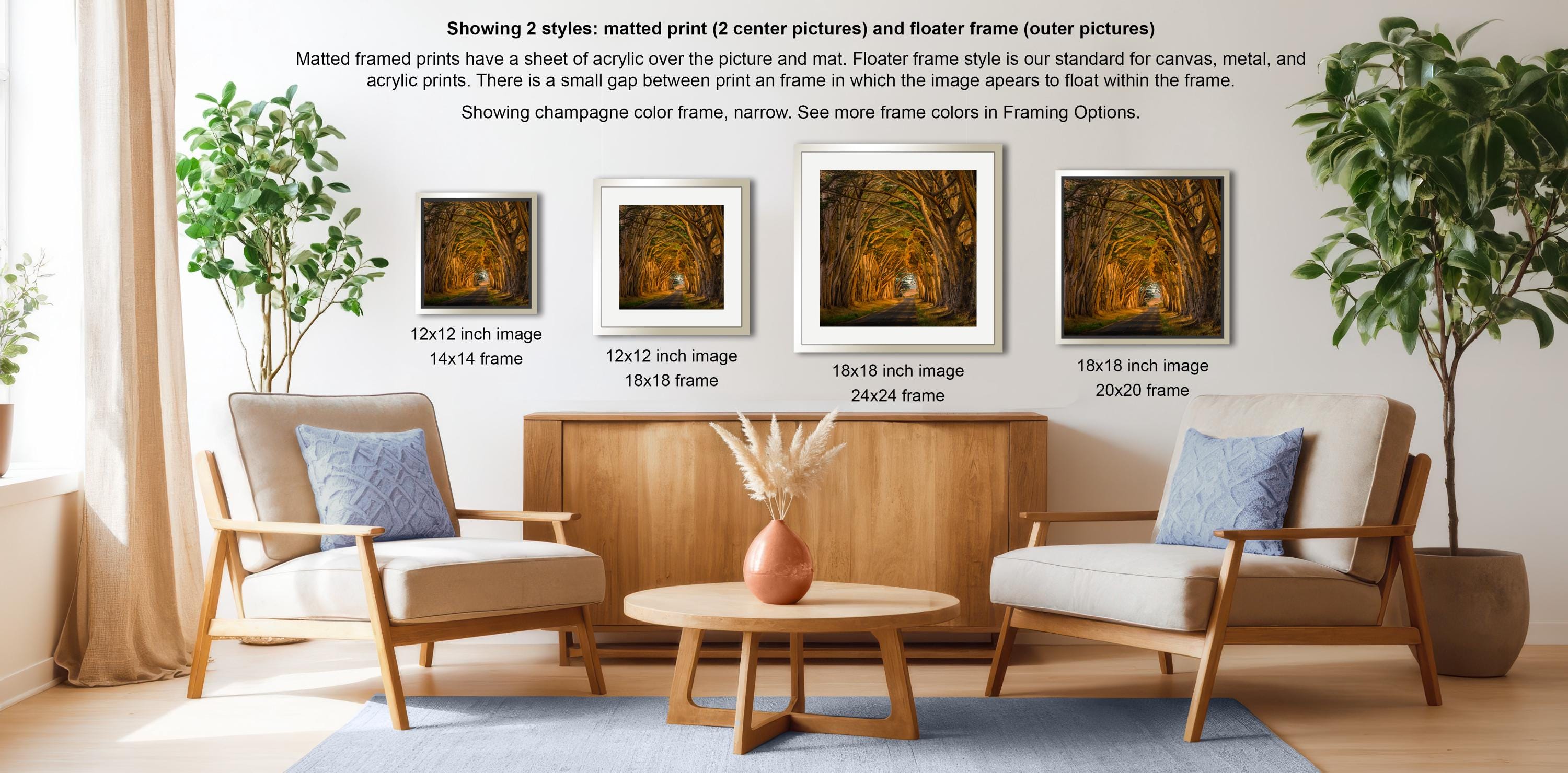 a living room with three framed pictures of a forest scene, including a path and trees, arranged on a wooden cabinet. The room has two armchairs and a coffee table, and there are potted plants and a vase on display.
