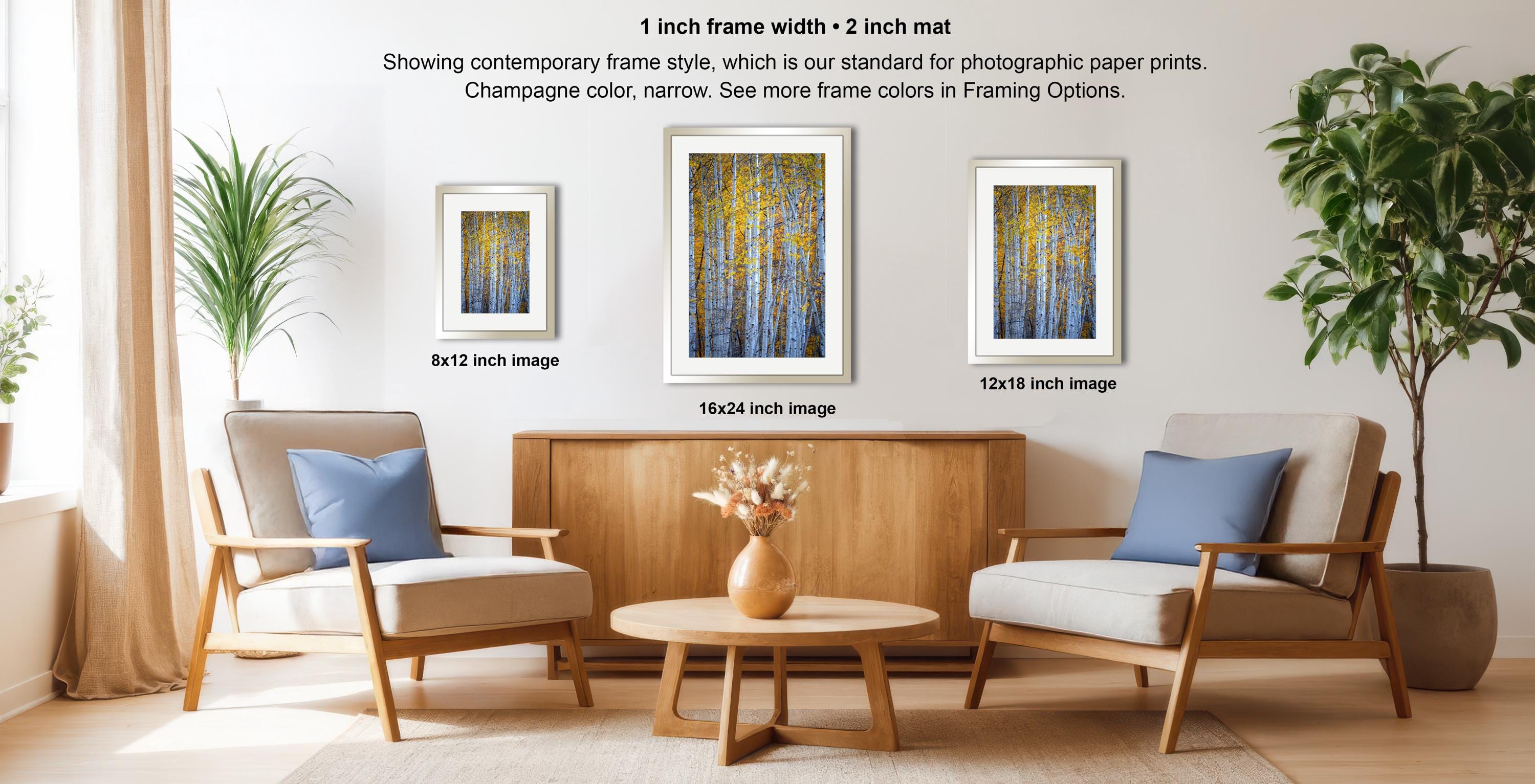 a modern living room with a wooden coffee table, two armchairs, and a potted plant. There are three framed artworks displayed on the wall, each with a different frame style and size.