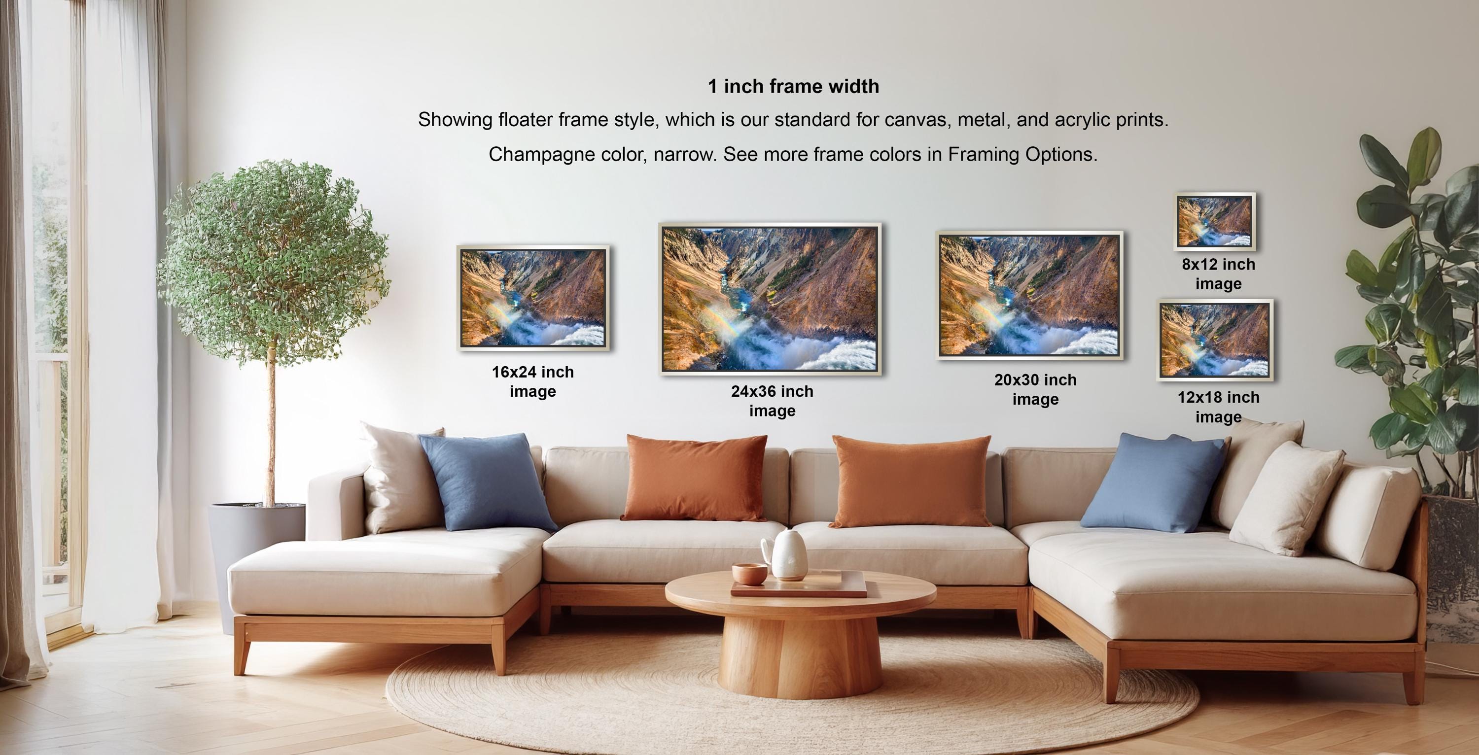 a living room with a large sectional sofa, a coffee table, and a potted plant. The sofa is arranged in a way that allows for a clear view of the framed artwork displayed on the wall. The artwork varies in size, ranging from 16x24 inches to 20x30 inches, and is framed in different styles, including a floating frame. The overall layout and decor create a cozy and inviting atmosphere in the living room.