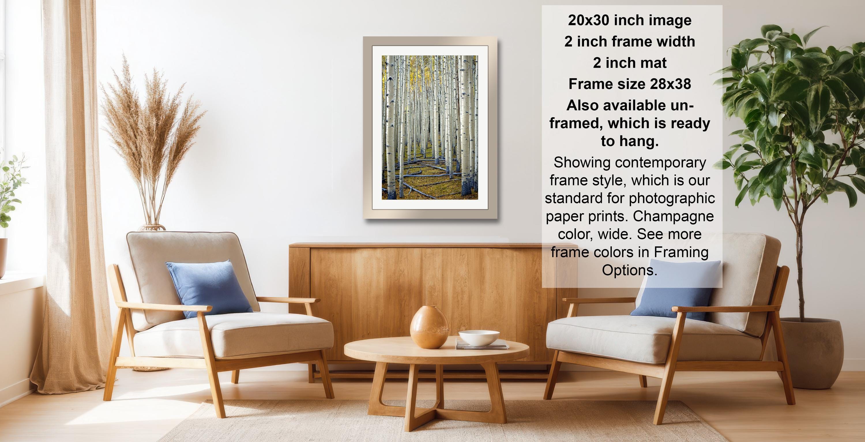a living room with a framed painting of a forest scene hanging on the wall. The room has two armchairs and a coffee table, creating a cozy and inviting atmosphere.