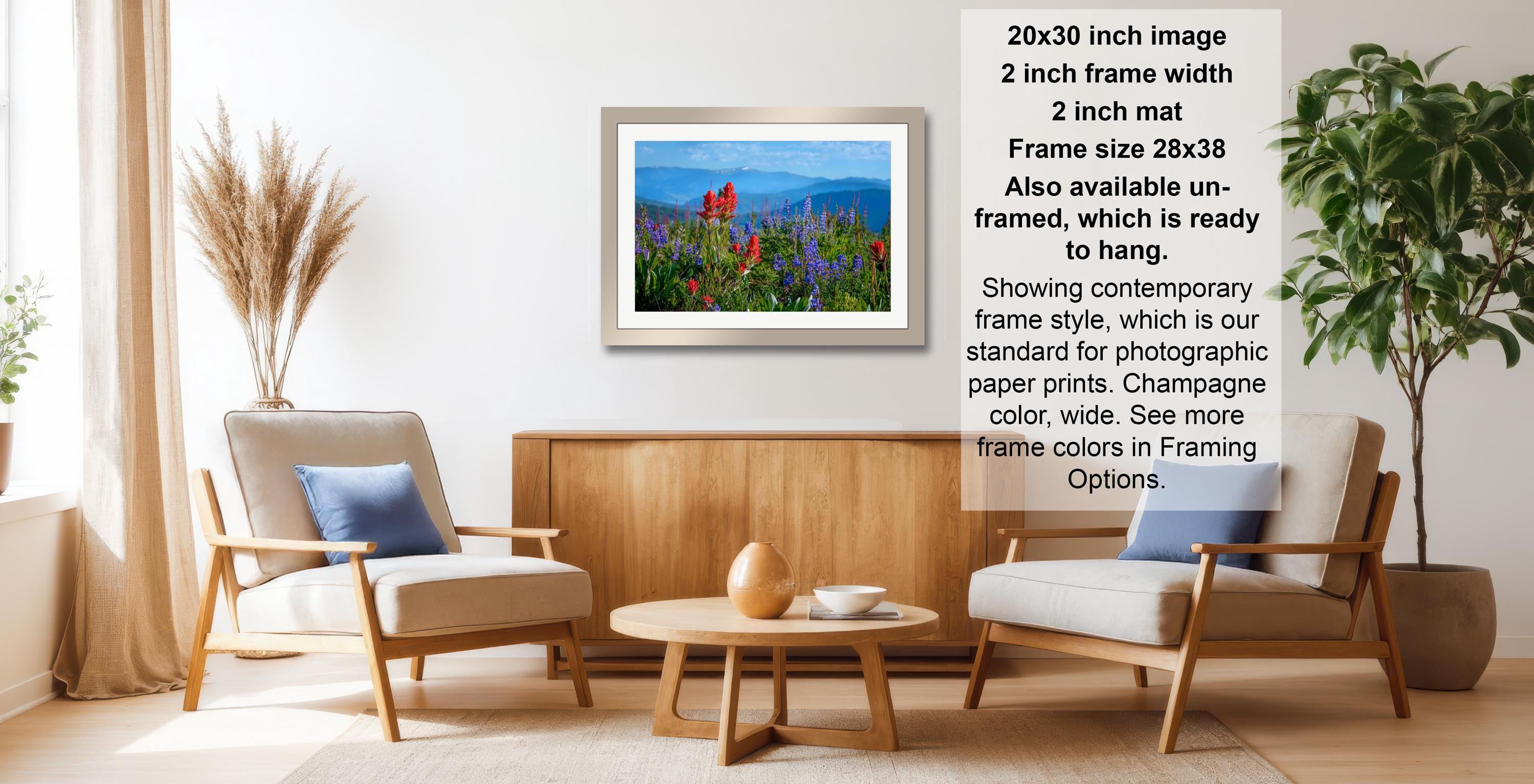 a living room with a framed photograph of a field of red flowers hanging on the wall. The room has two armchairs and a coffee table, and there are potted plants and a vase in the space. The photograph is framed in a 2x3 grid, and the frame size is 28.38 inches wide. The frame style is described as "our standard for photographic paper prints, champagne color, wide, see more frame colors in Framing Options."